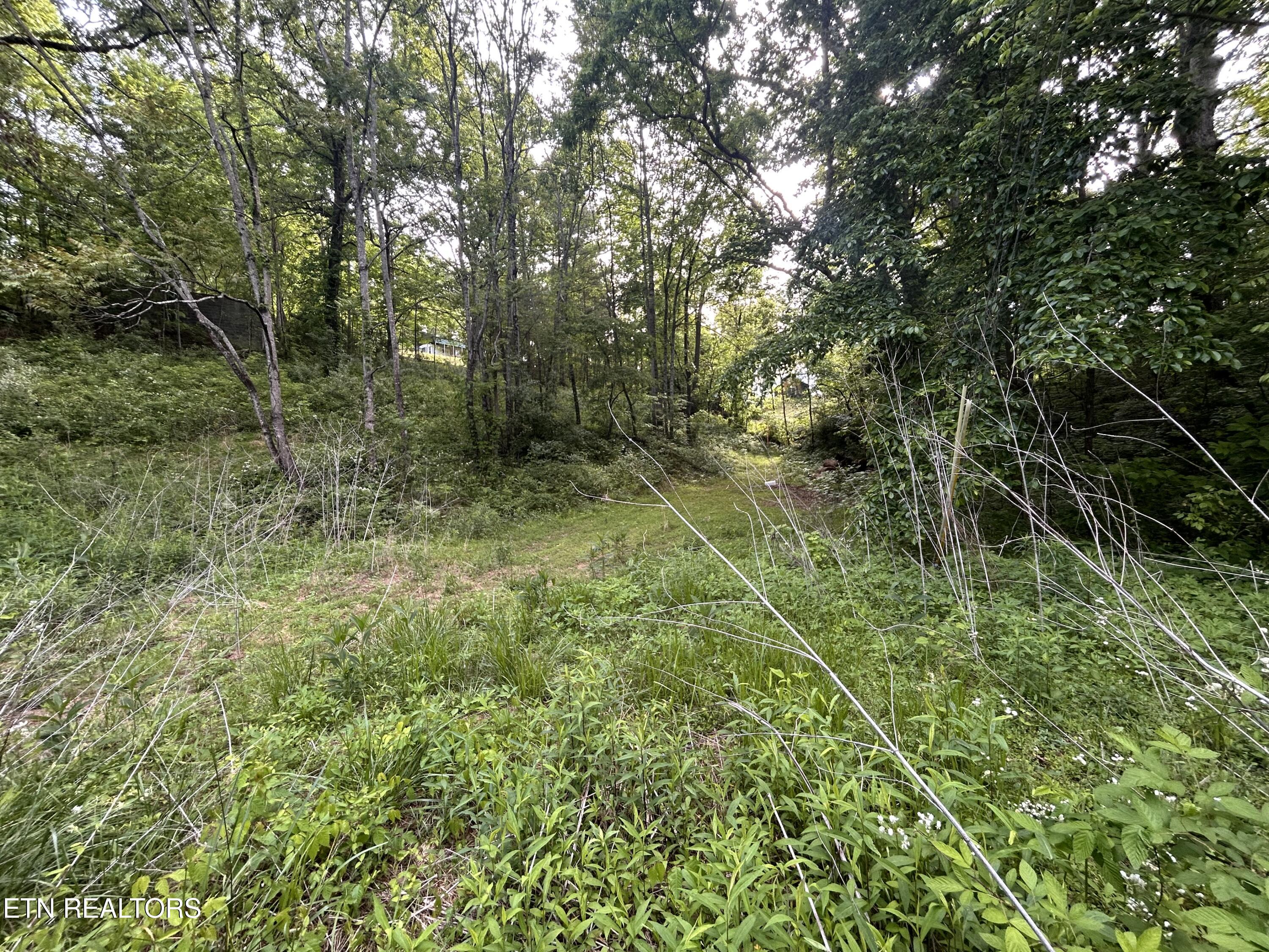 Lot 32 Ernie Roberts Road Rutledge TN 37861
