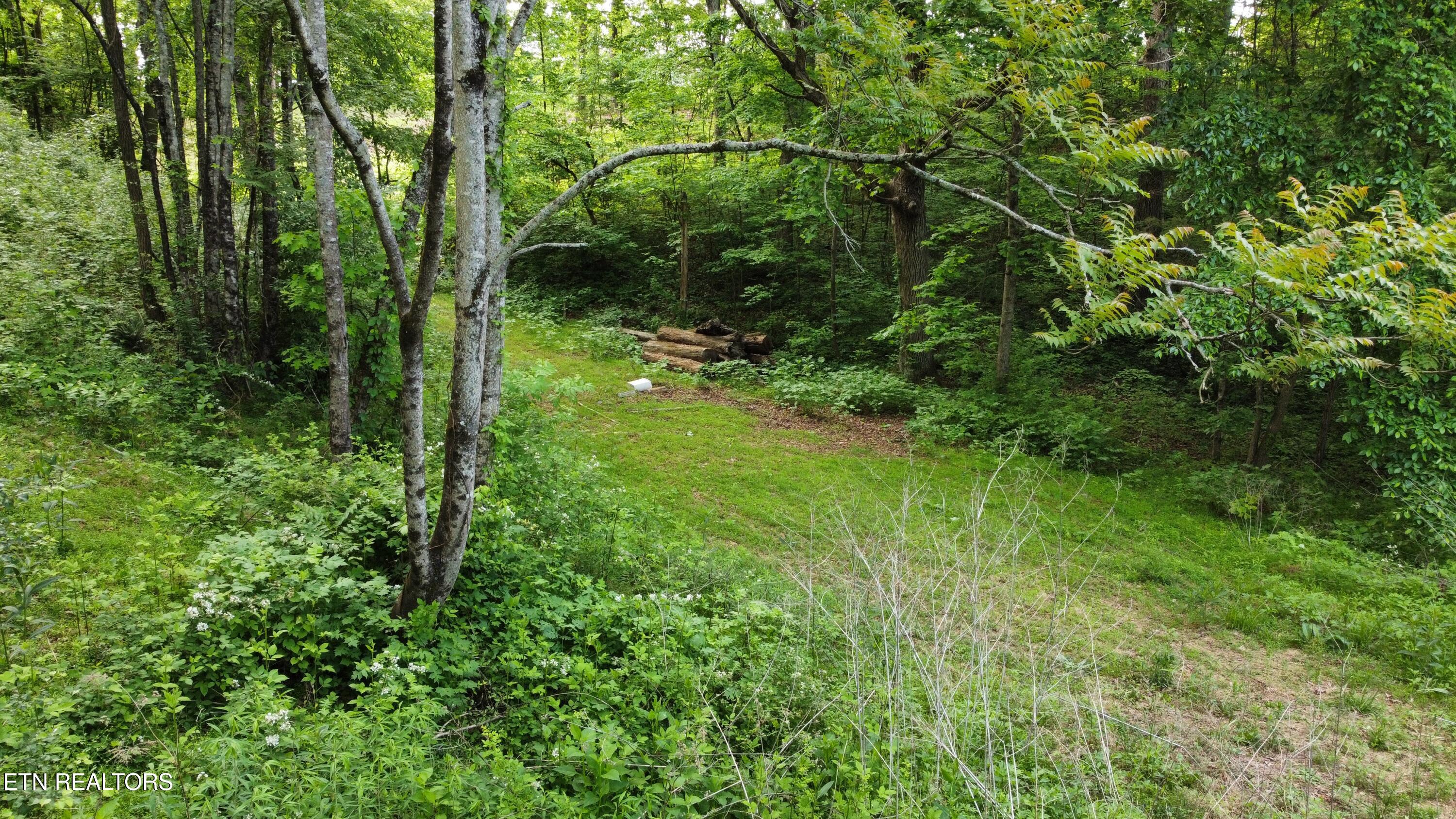 Lot 32 Ernie Roberts Road Rutledge TN 37861