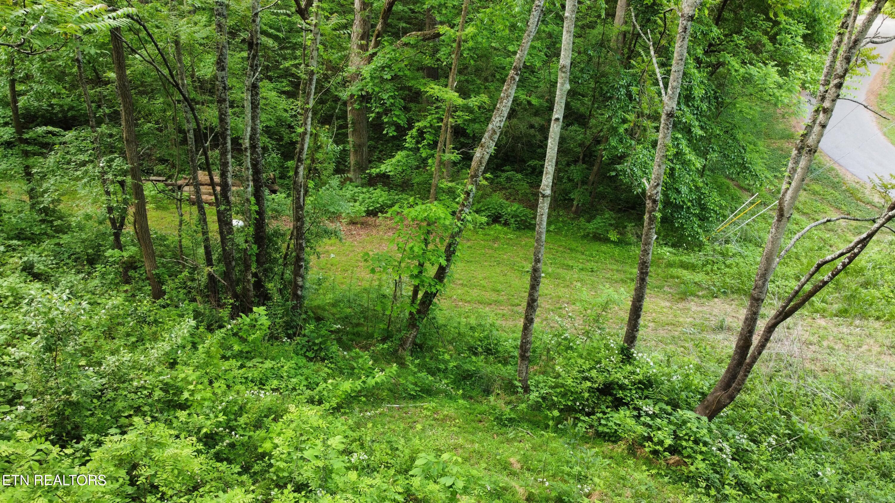 Lot 32 Ernie Roberts Road Rutledge TN 37861