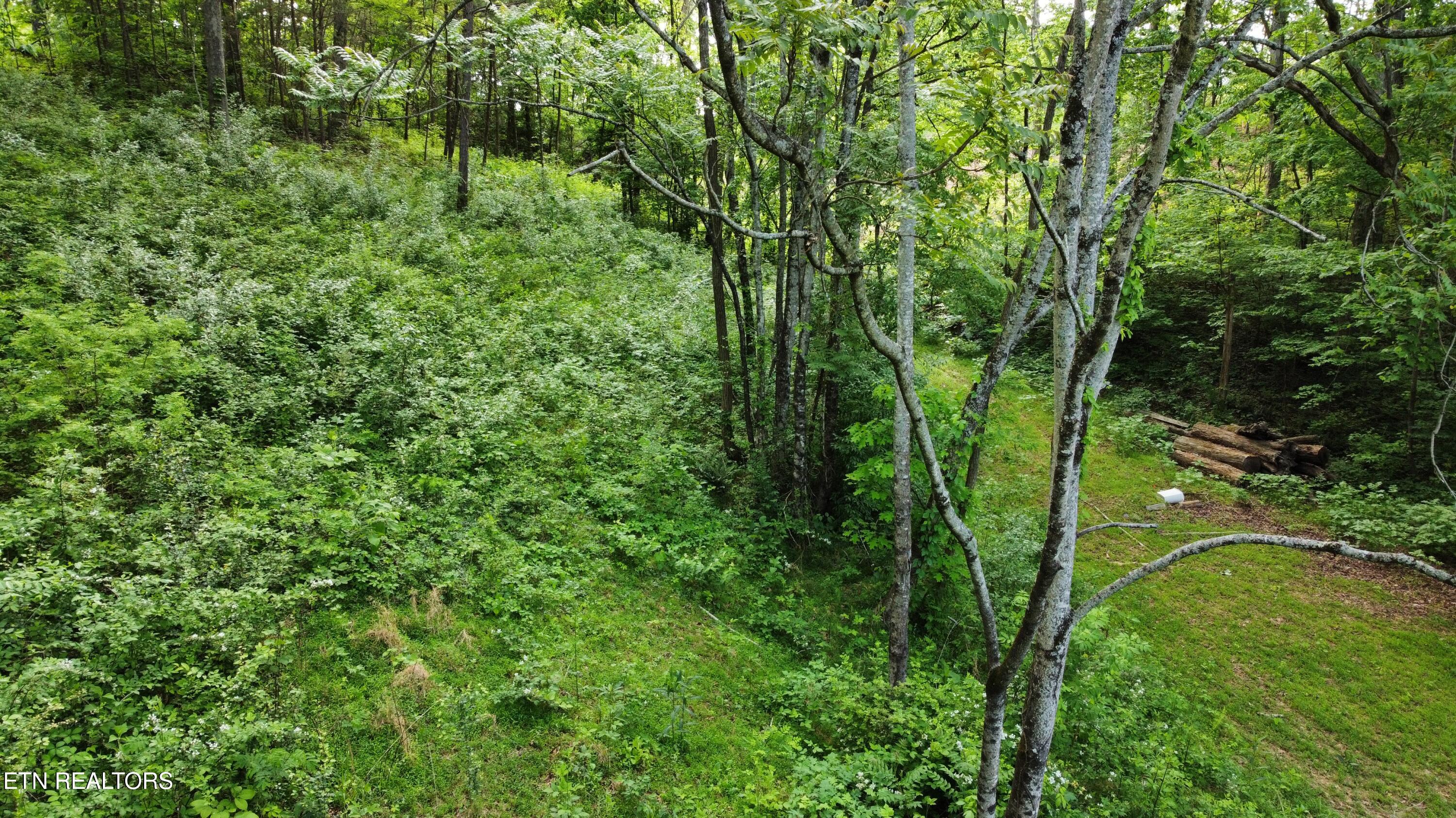 Lot 32 Ernie Roberts Road Rutledge TN 37861