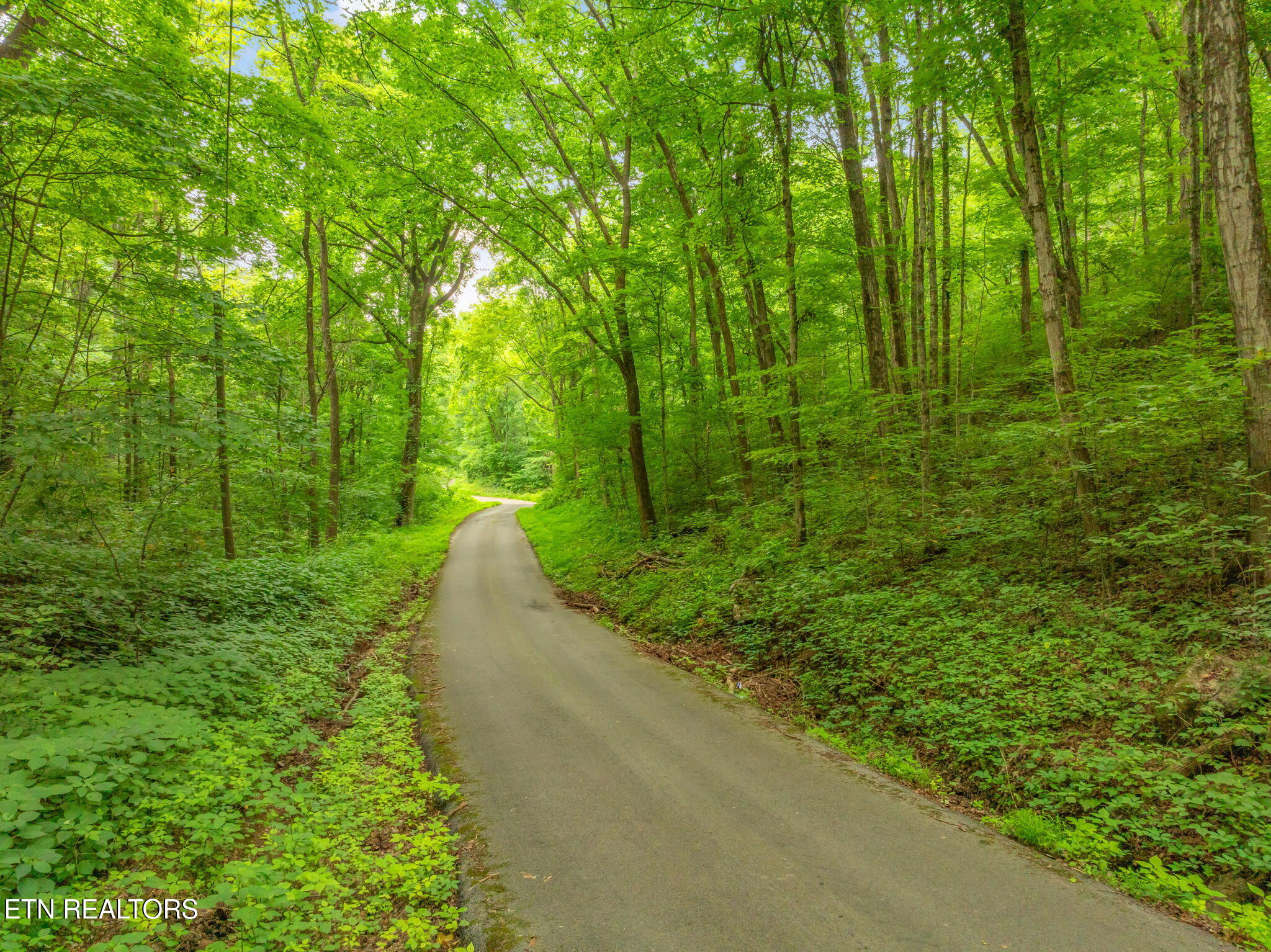 Dunville Gap Road Rutledge TN 37861
