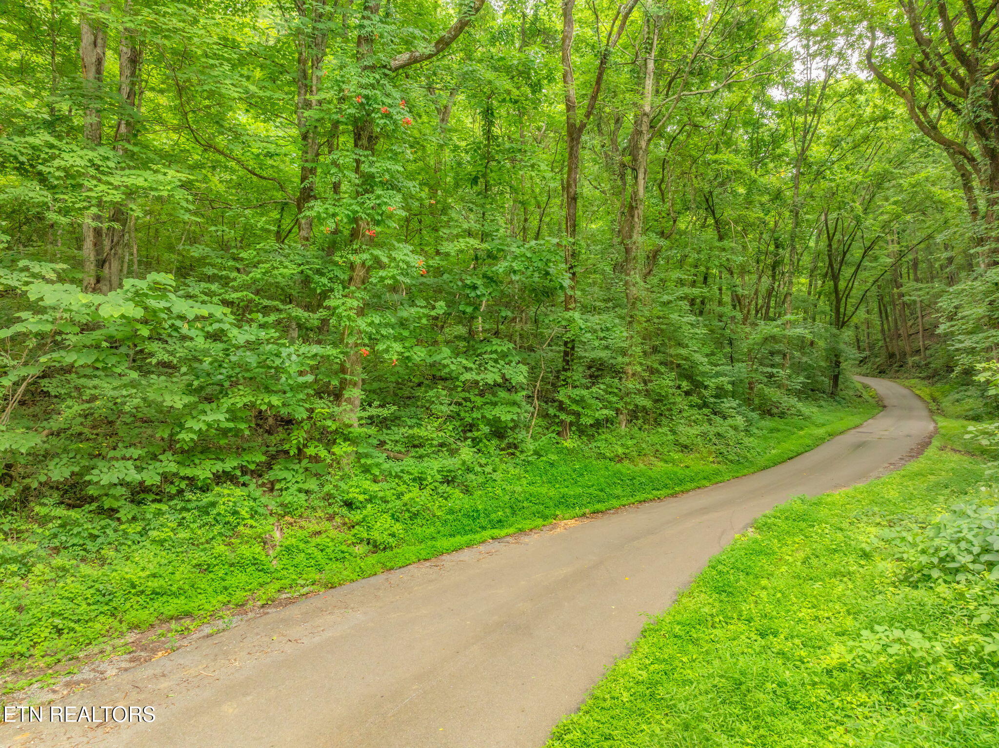 Dunville Gap Road Rutledge TN 37861