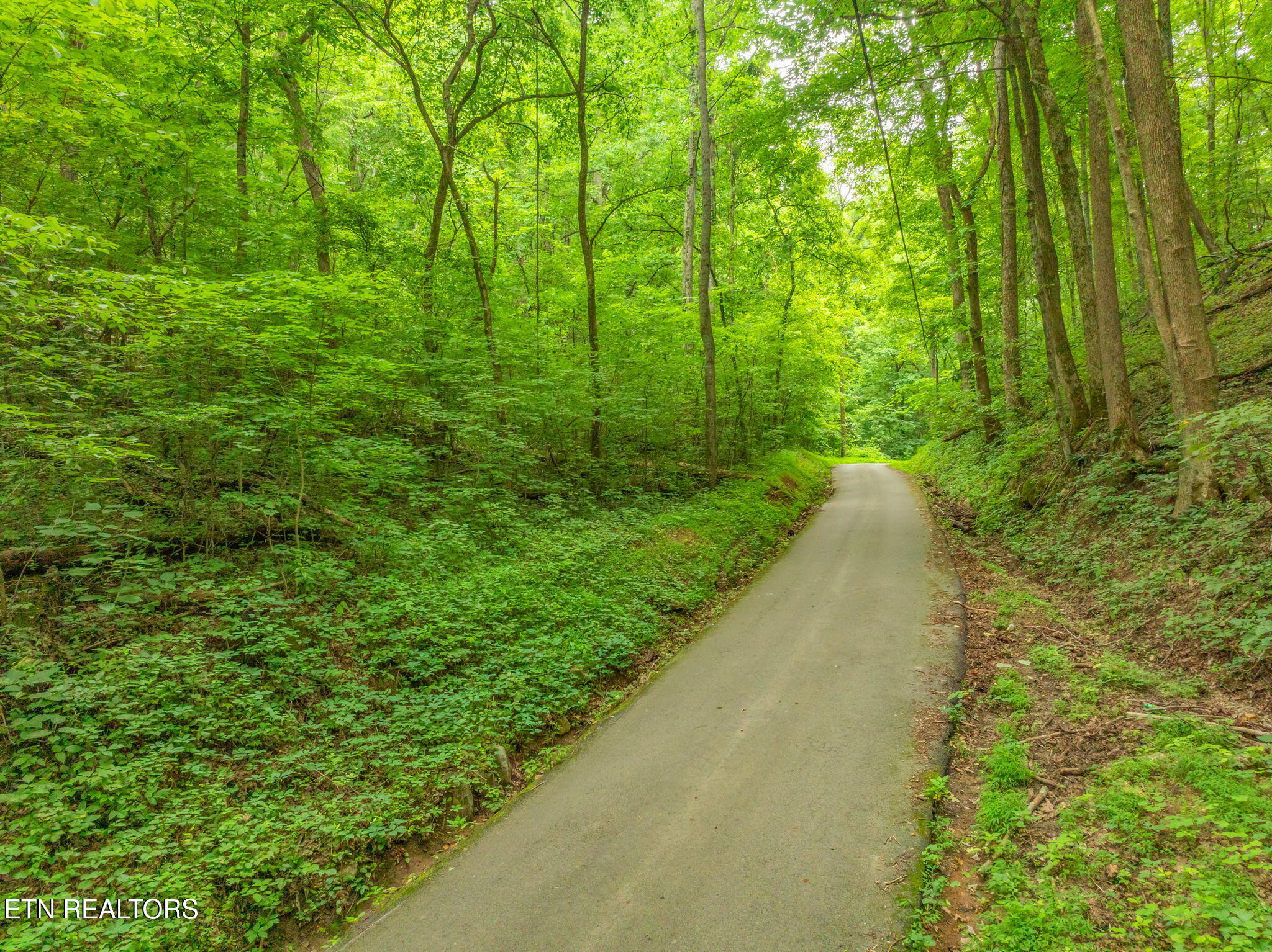 Dunville Gap Road Rutledge TN 37861