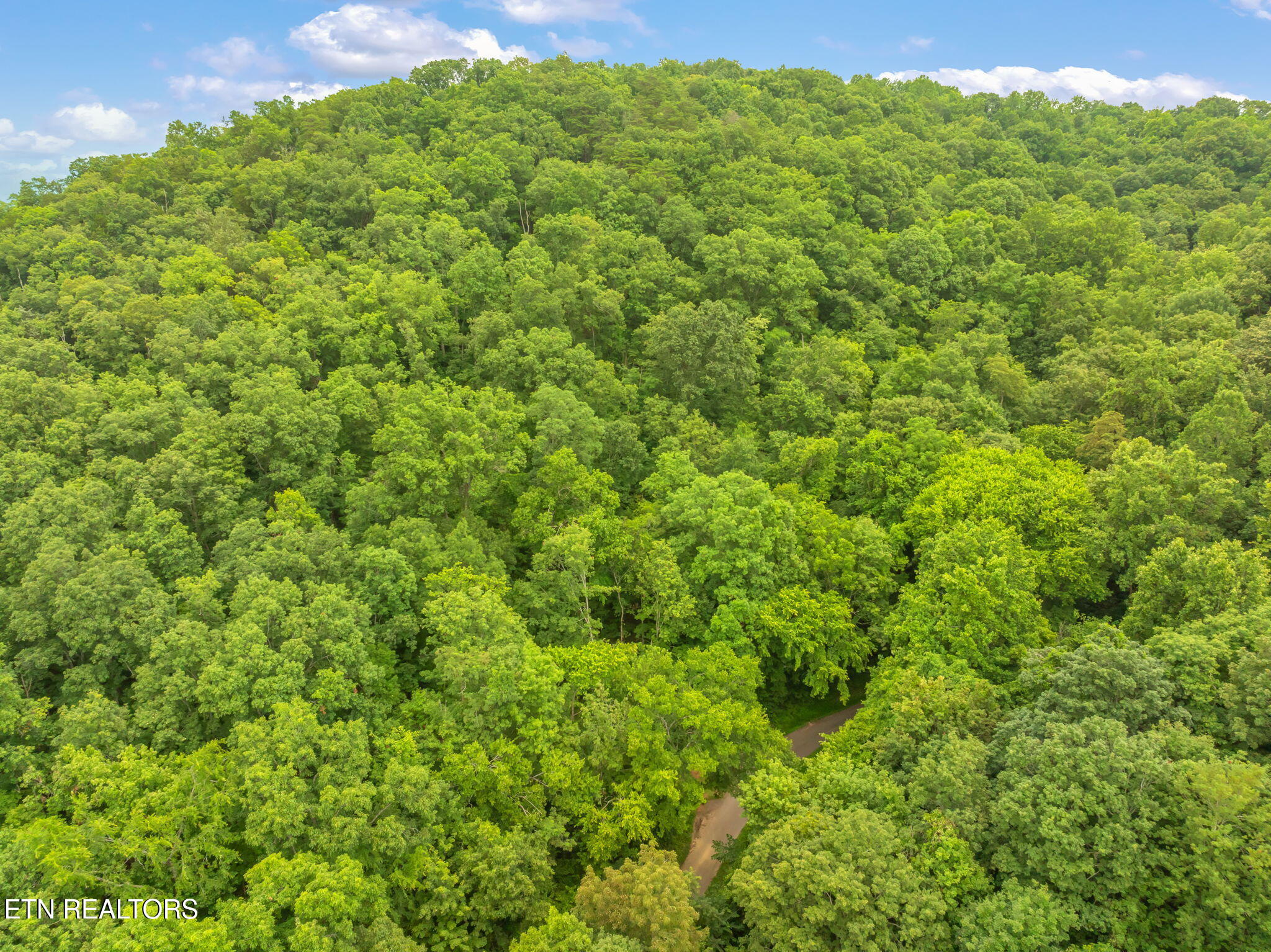 Dunville Gap Road Rutledge TN 37861