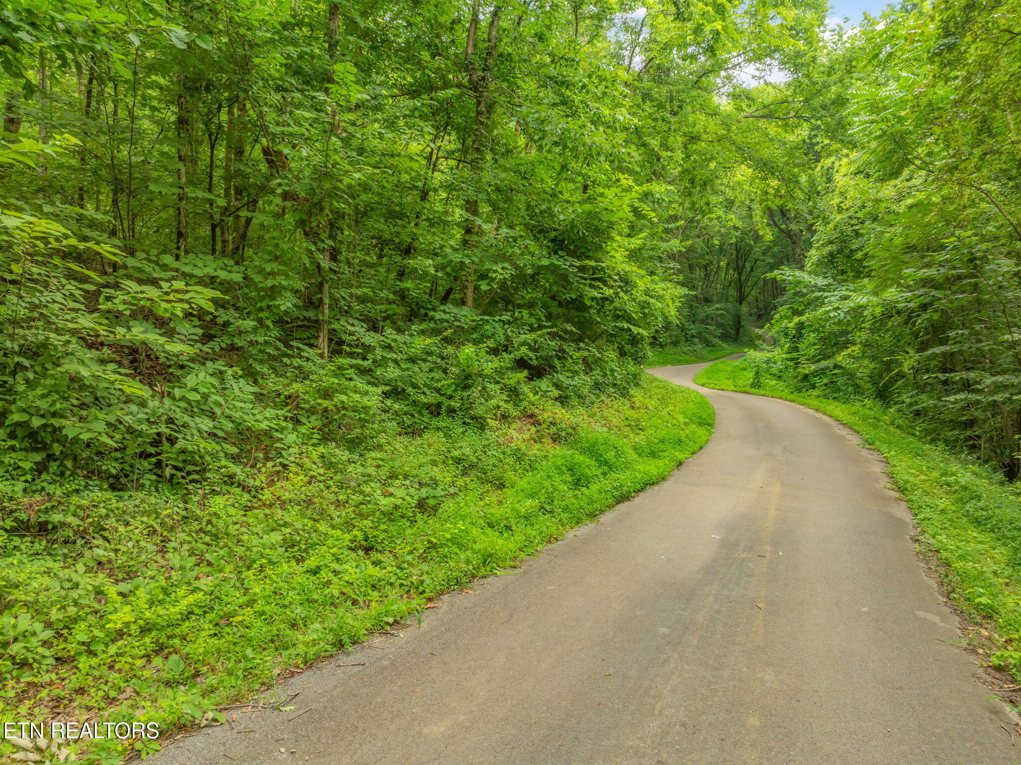 Dunville Gap Road Rutledge TN 37861