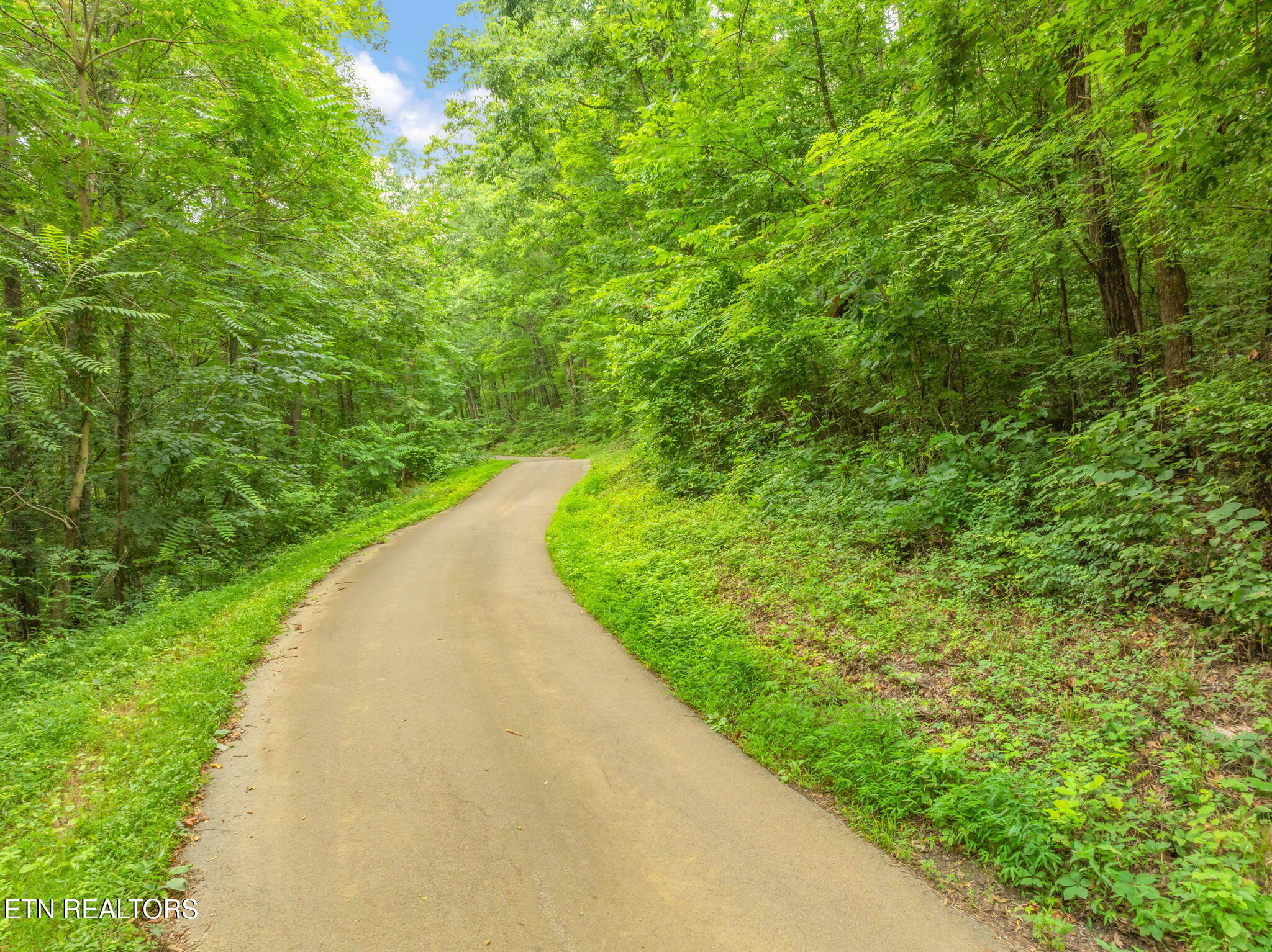 Dunville Gap Road Rutledge TN 37861