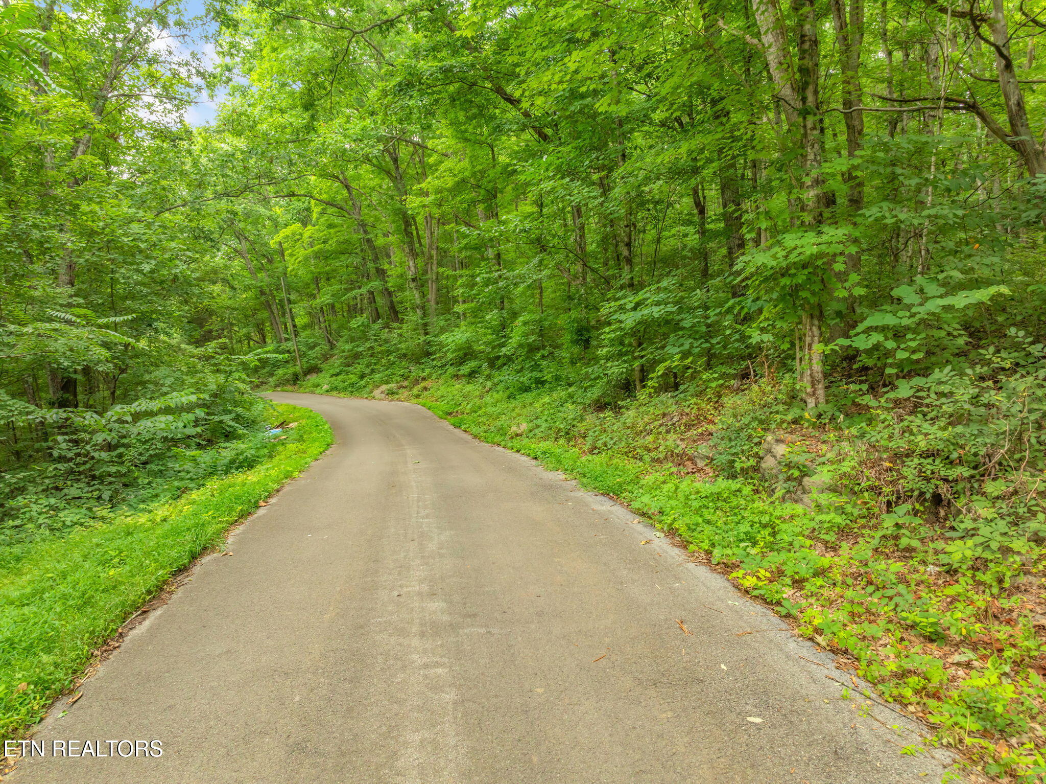 Dunville Gap Road Rutledge TN 37861