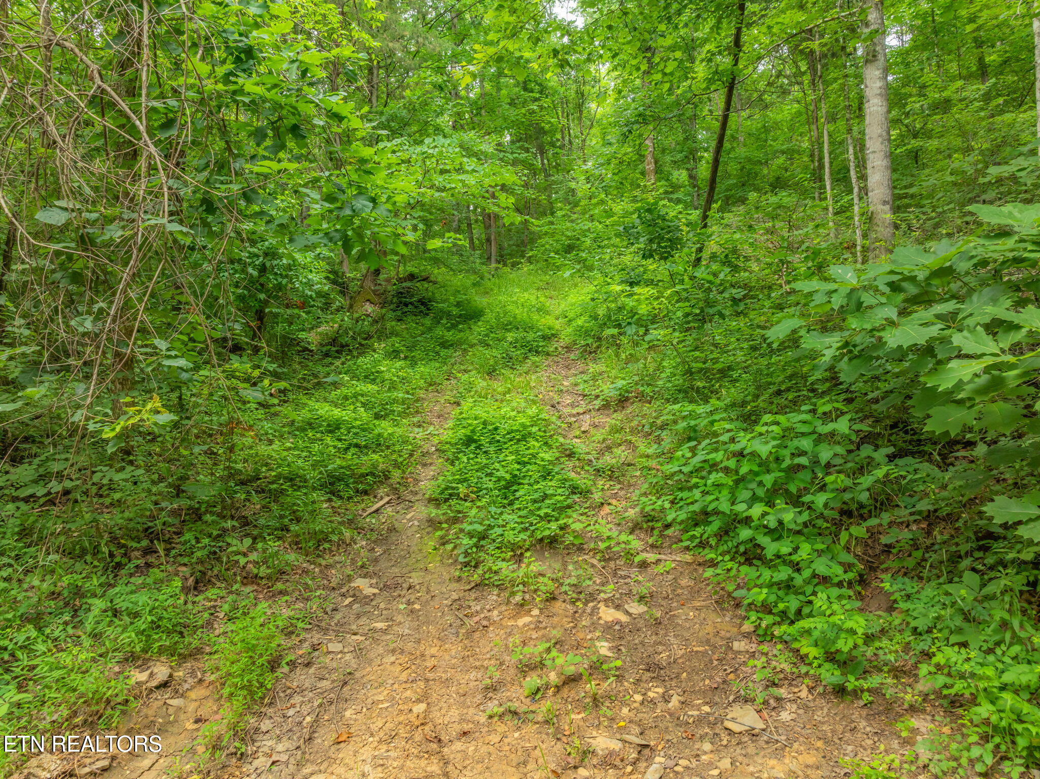 Dunville Gap Road Rutledge TN 37861