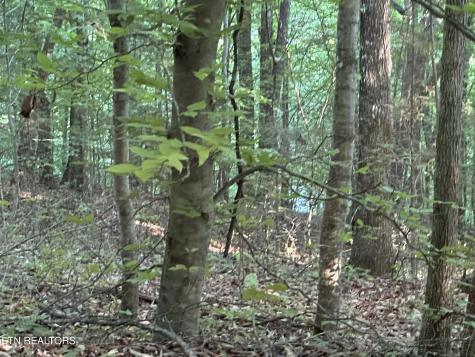 Cassies Crossing Speedwell TN 37870