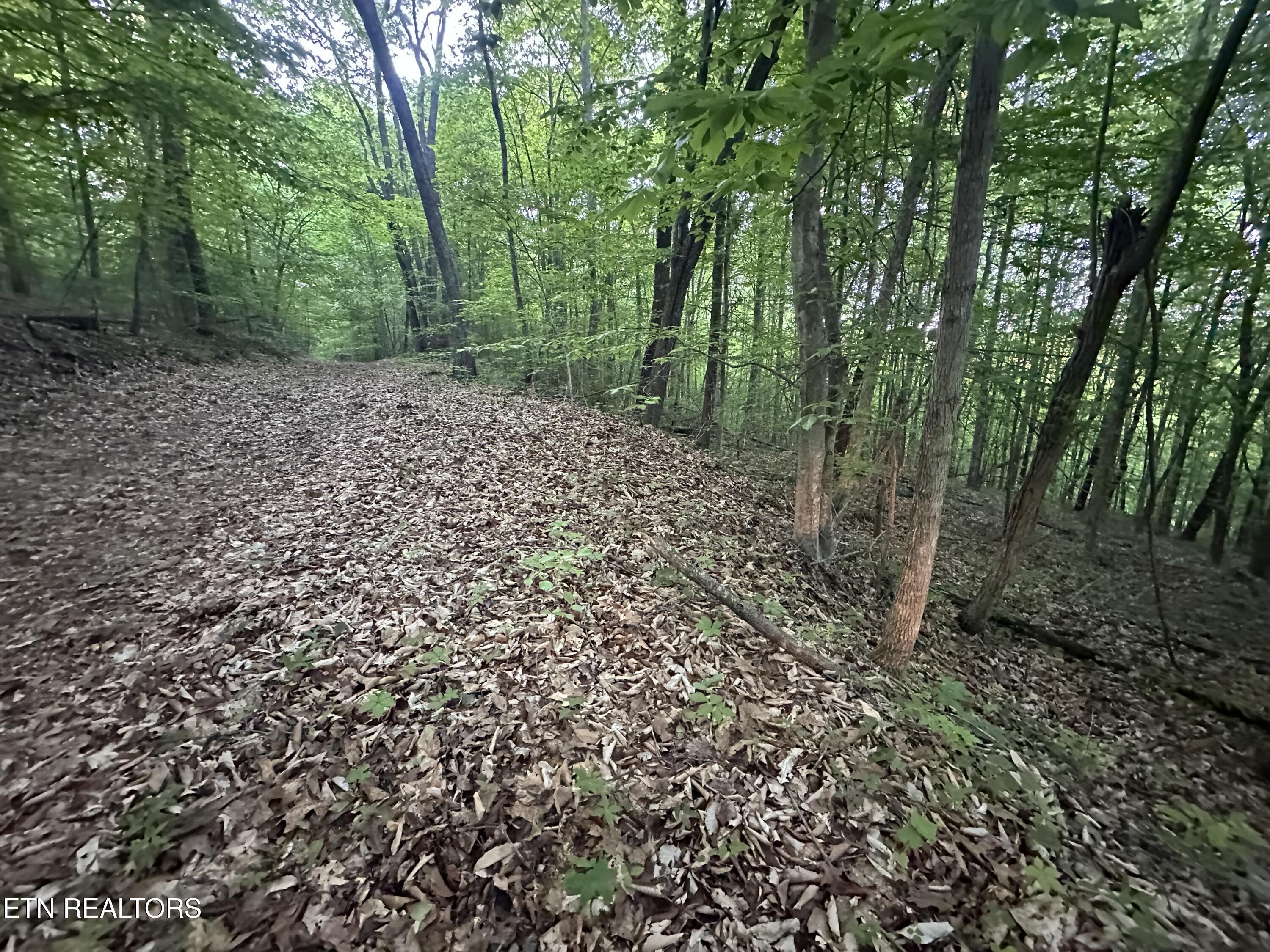 Cassies Crossing Speedwell TN 37870