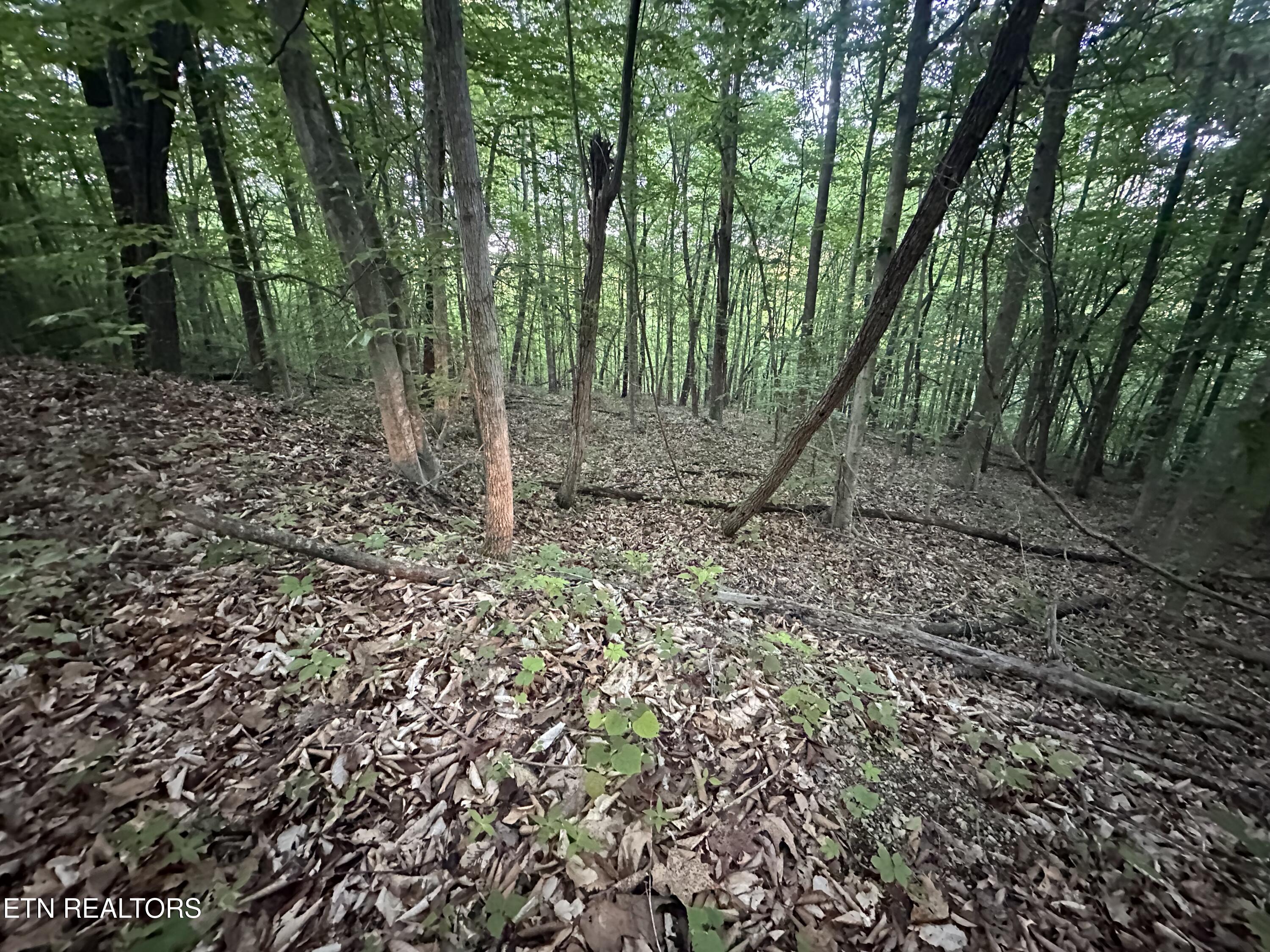 Cassies Crossing Speedwell TN 37870