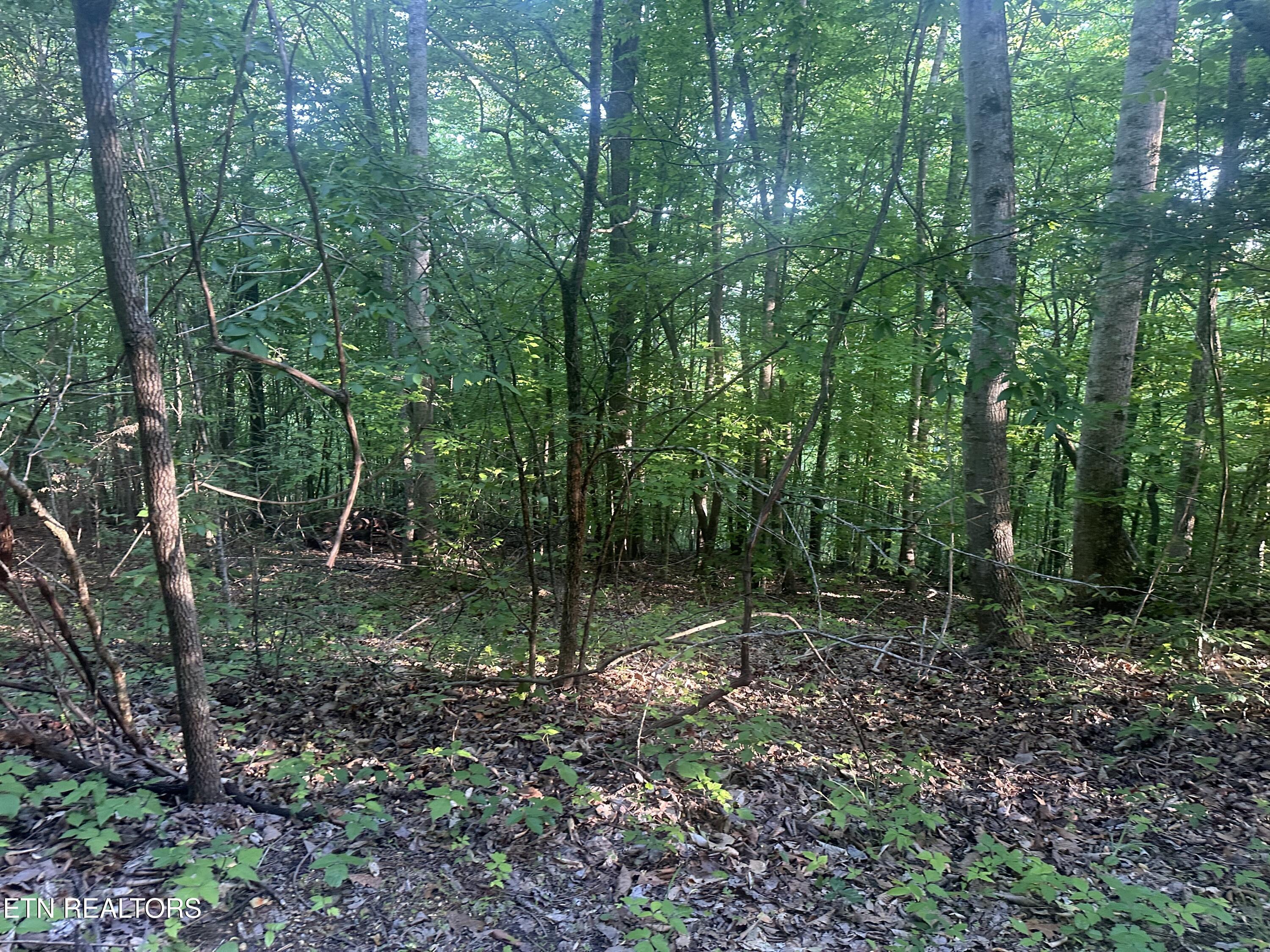 Cassies Crossing Speedwell TN 37870