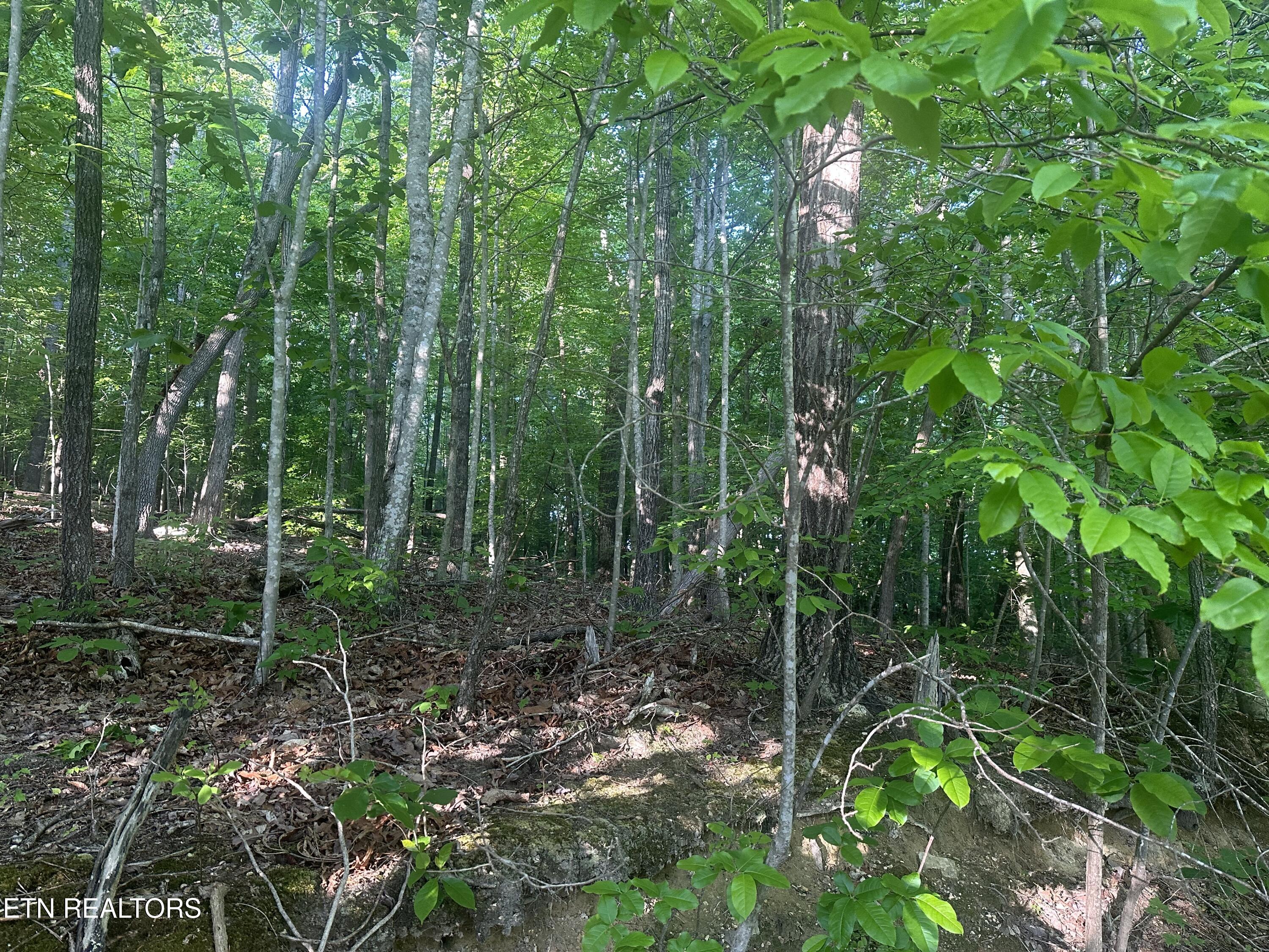 Cassies Crossing Speedwell TN 37870