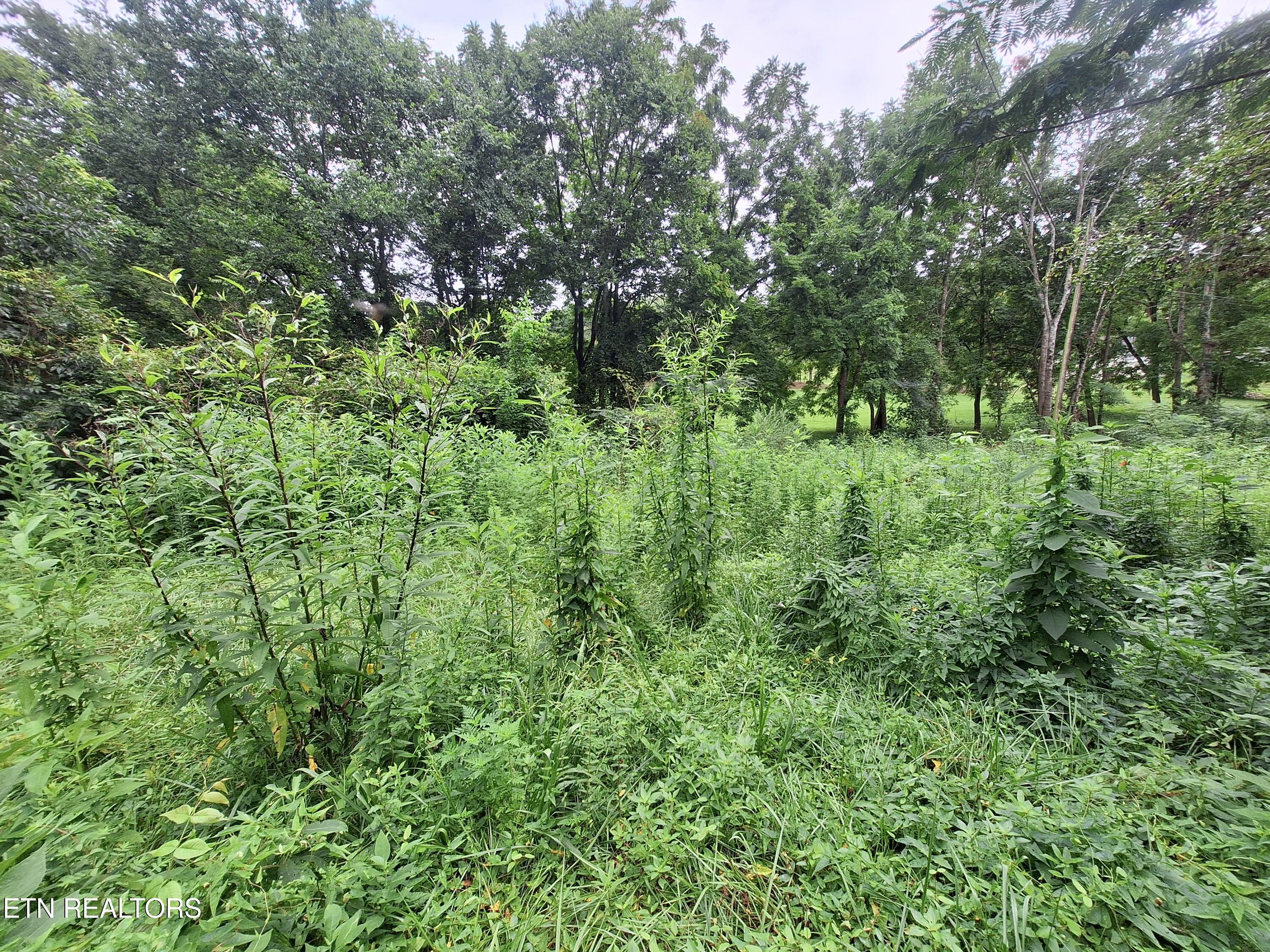 426 Rudd Hollow Townsend TN 37882