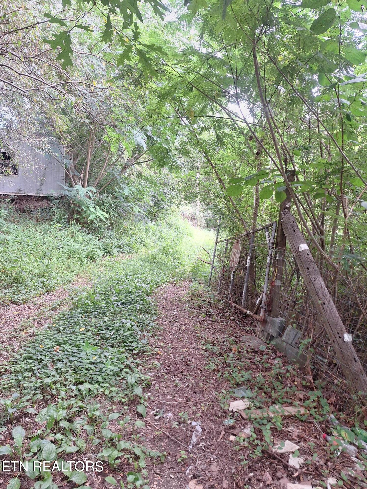 426 Rudd Hollow Townsend TN 37882