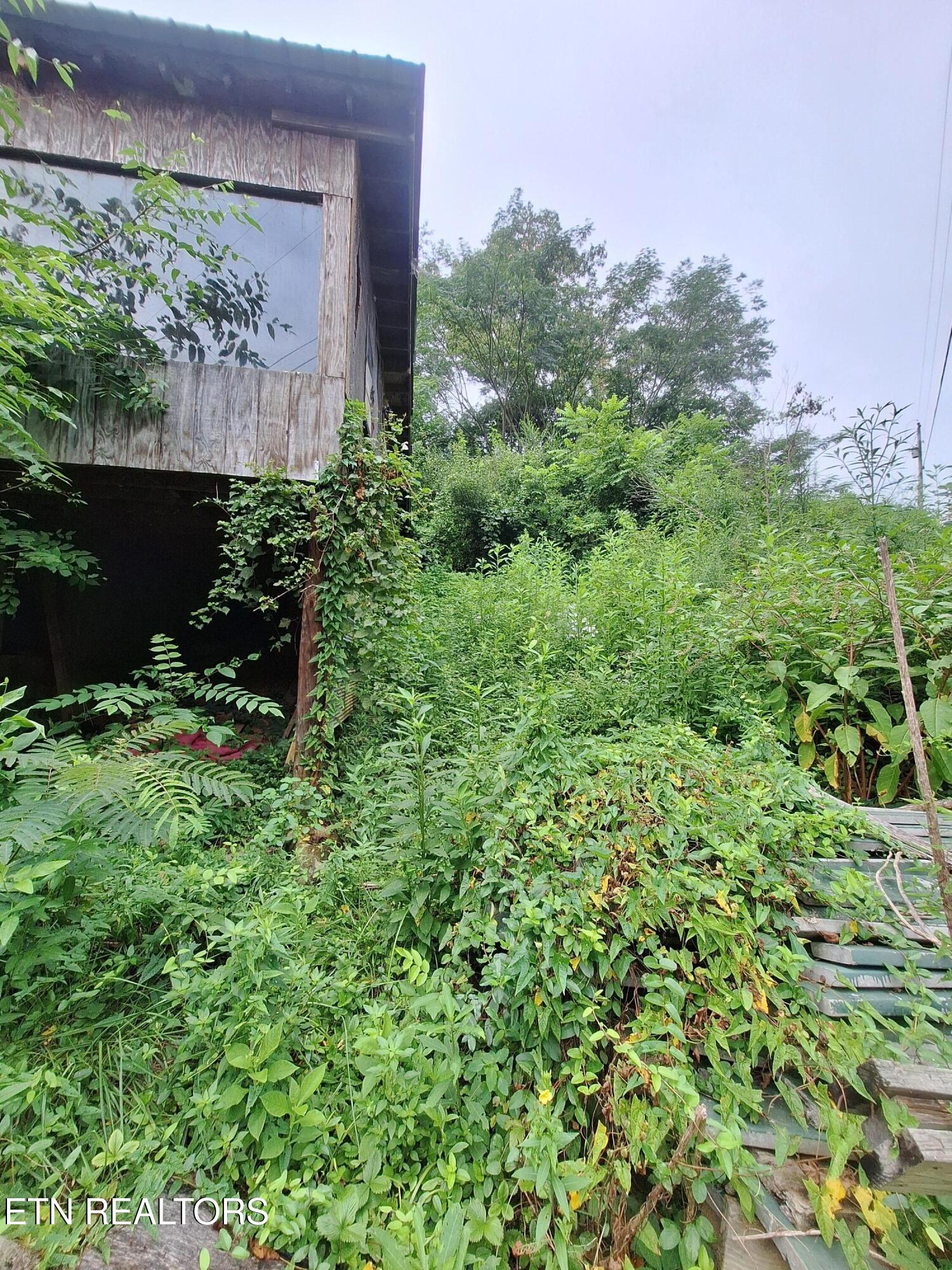 426 Rudd Hollow Townsend TN 37882
