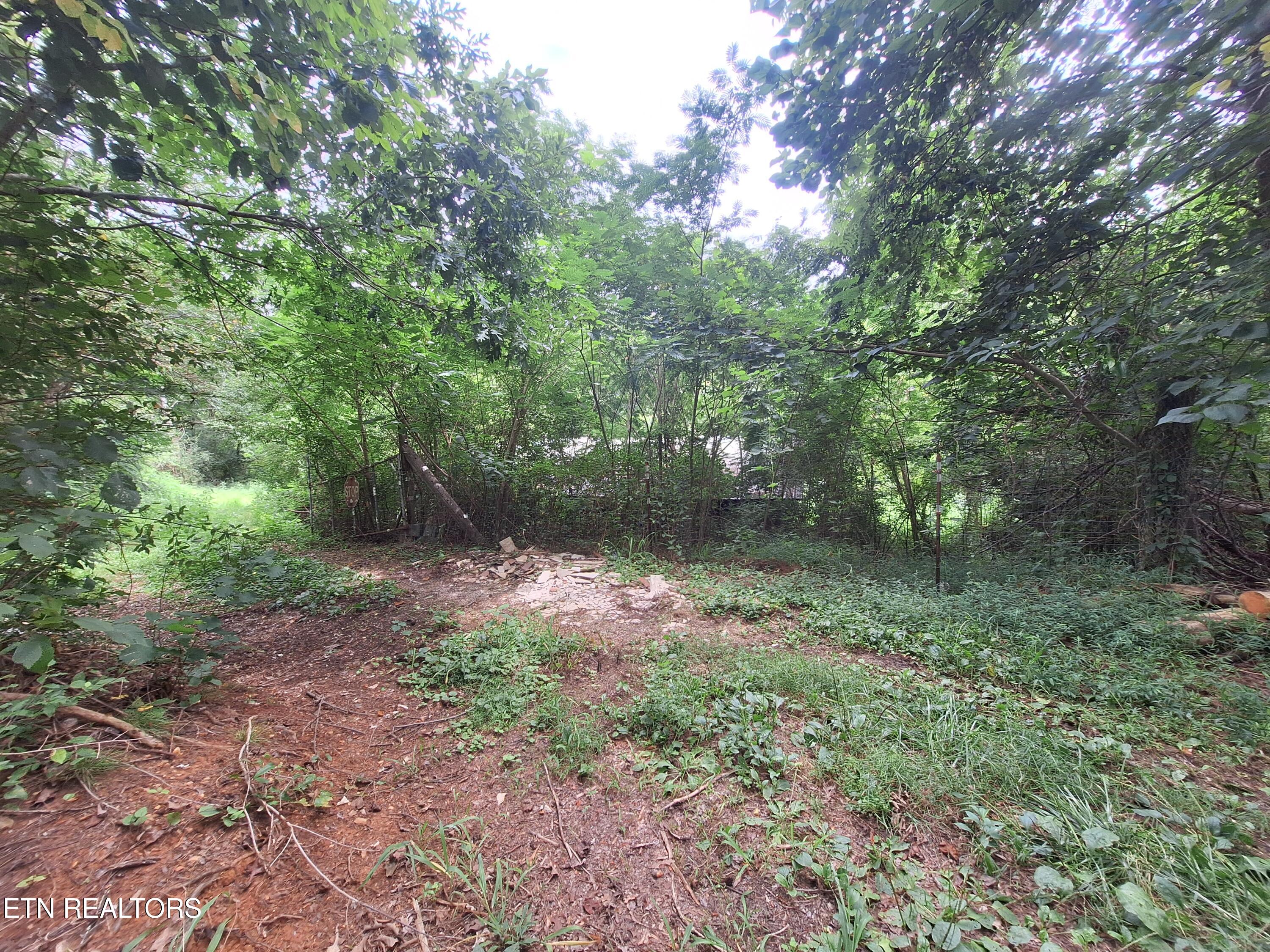 426 Rudd Hollow Townsend TN 37882