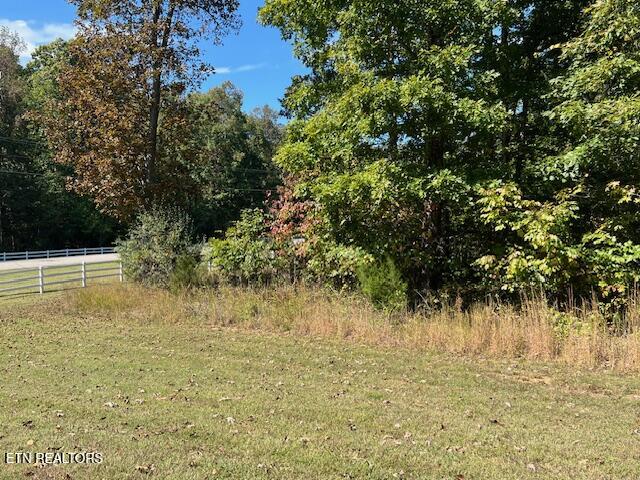 Appaloosa Trail Rockwood TN 37854