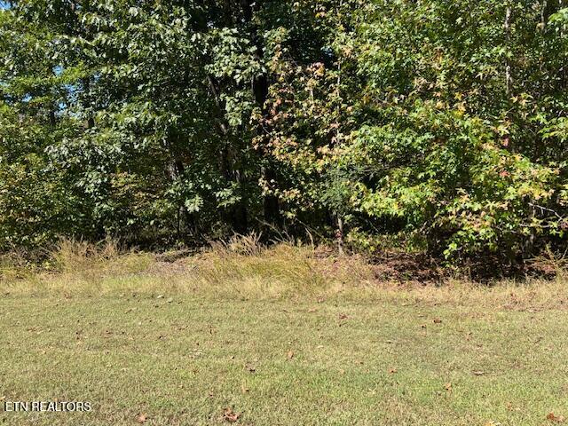 Appaloosa Trail Rockwood TN 37854