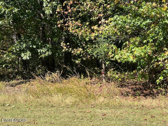 Appaloosa Trail Rockwood TN 37854