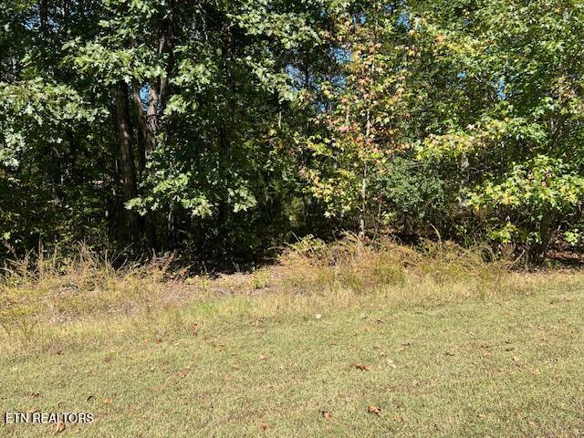 Appaloosa Trail Rockwood TN 37854