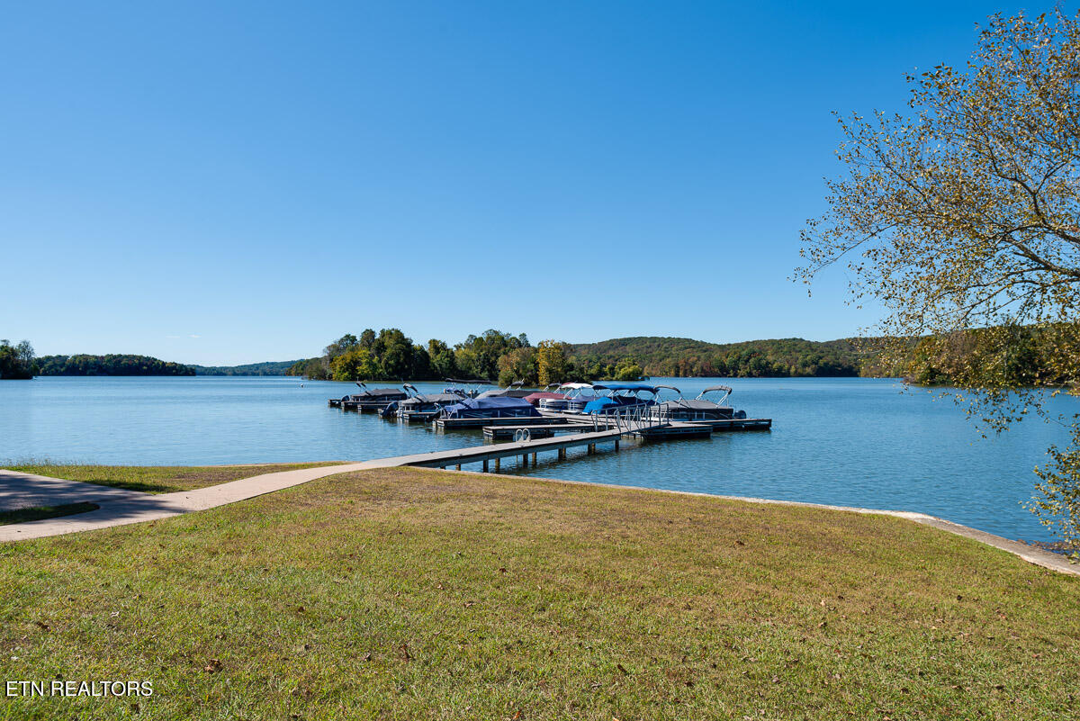 Appaloosa Trail Rockwood TN 37854
