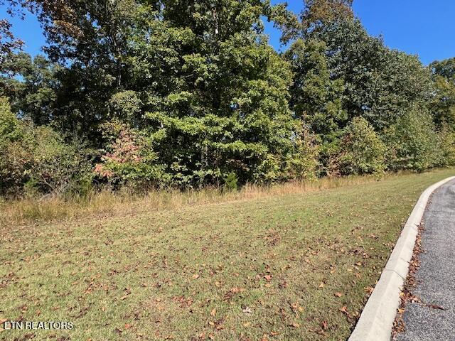 Appaloosa Trail Rockwood TN 37854