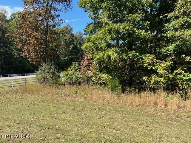 Appaloosa Trail Rockwood TN 37854