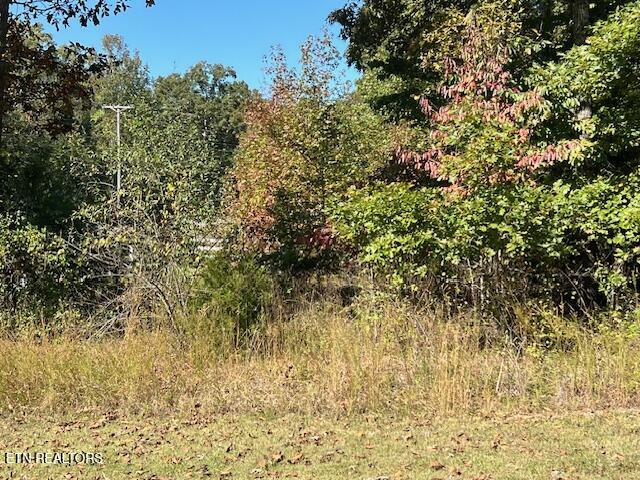 Appaloosa Trail Rockwood TN 37854
