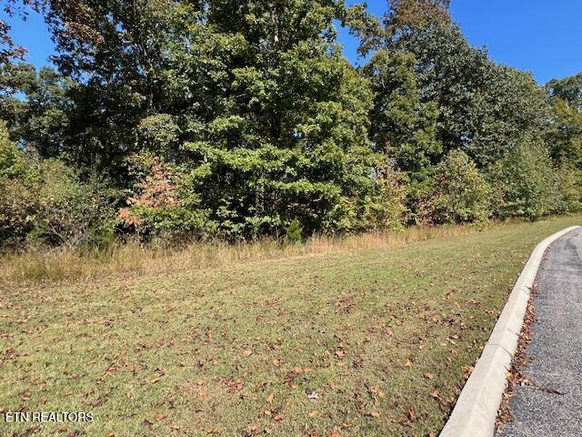Appaloosa Trail Rockwood TN 37854