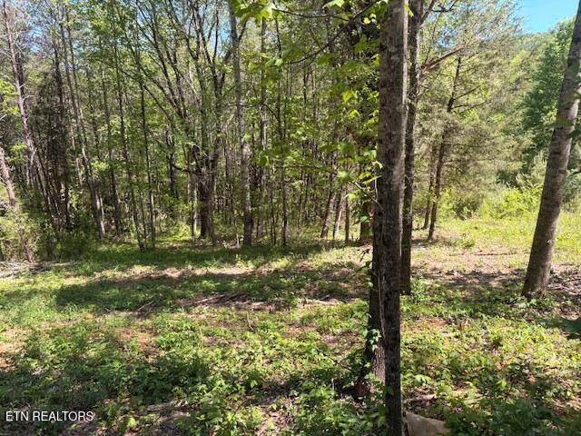 Lot 12 Bivens Court Niota TN 37826