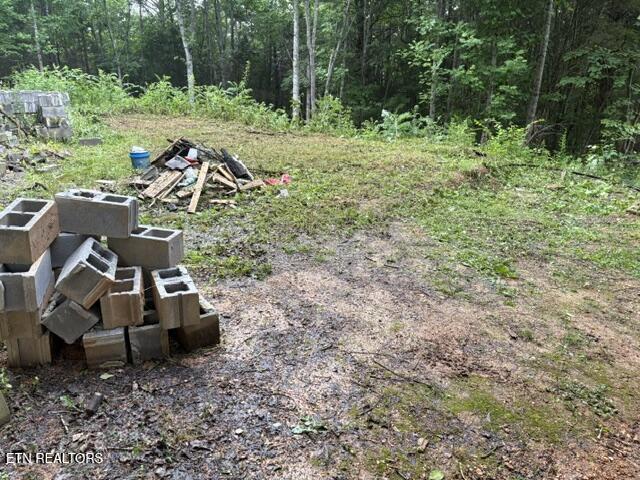 Lot 12 Bivens Court Niota TN 37826