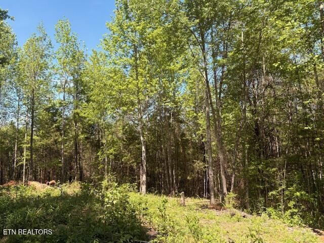 Lot 12 Bivens Court Niota TN 37826