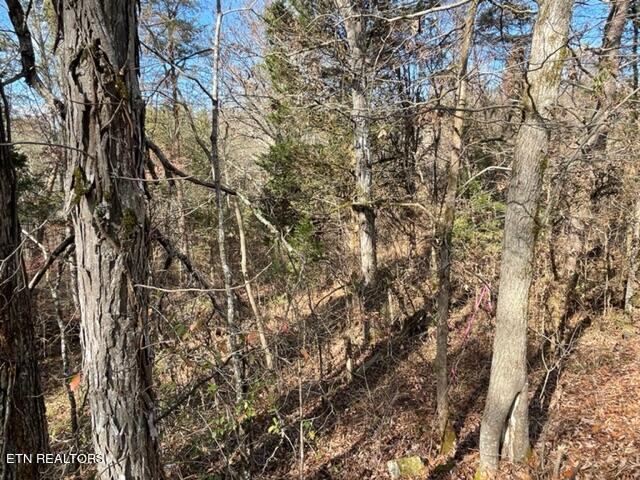 Happy Hollow Lane Sevierville TN 37876