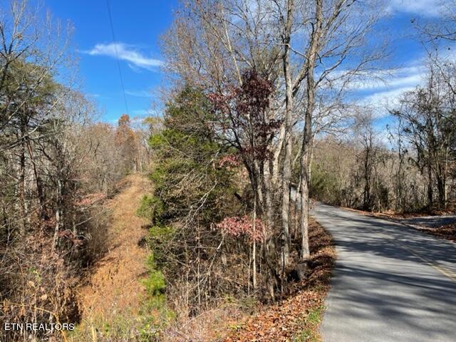 Happy Hollow Lane Sevierville TN 37876