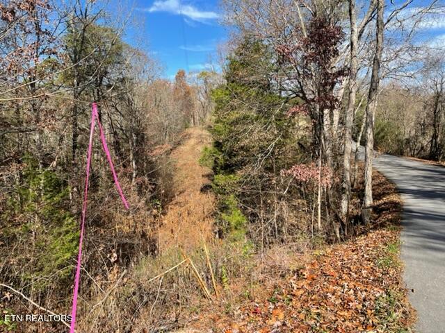 Happy Hollow Lane Sevierville TN 37876