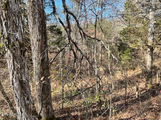 Happy Hollow Lane Sevierville TN 37876