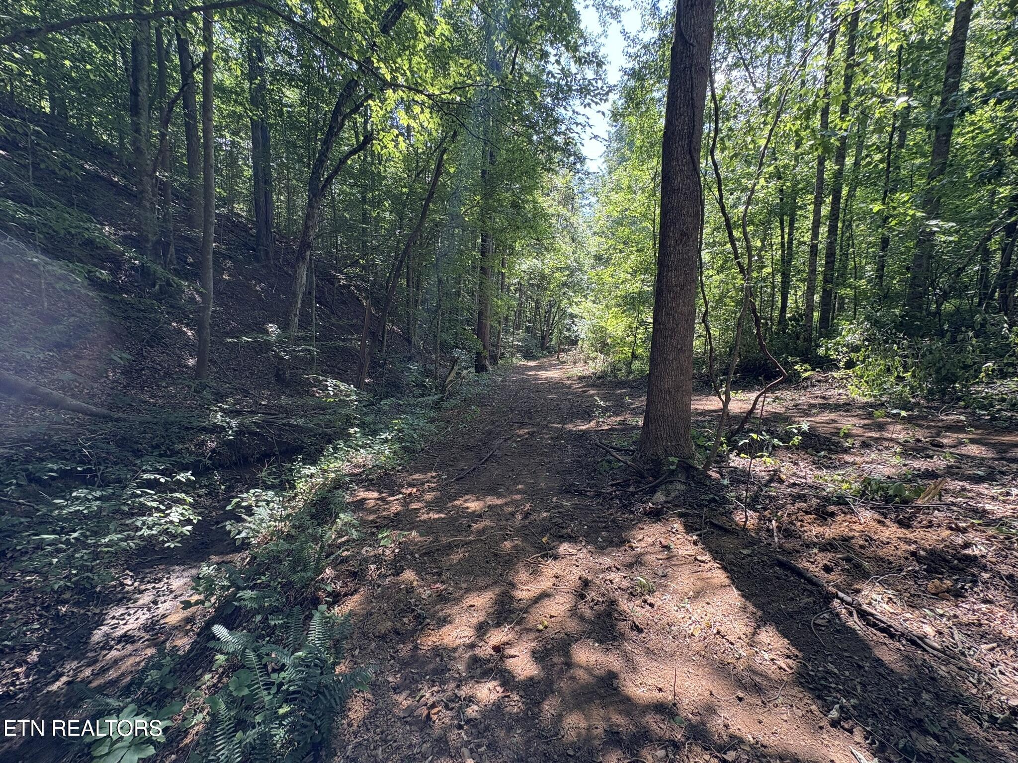 Happy Hollow Lane Sevierville TN 37876