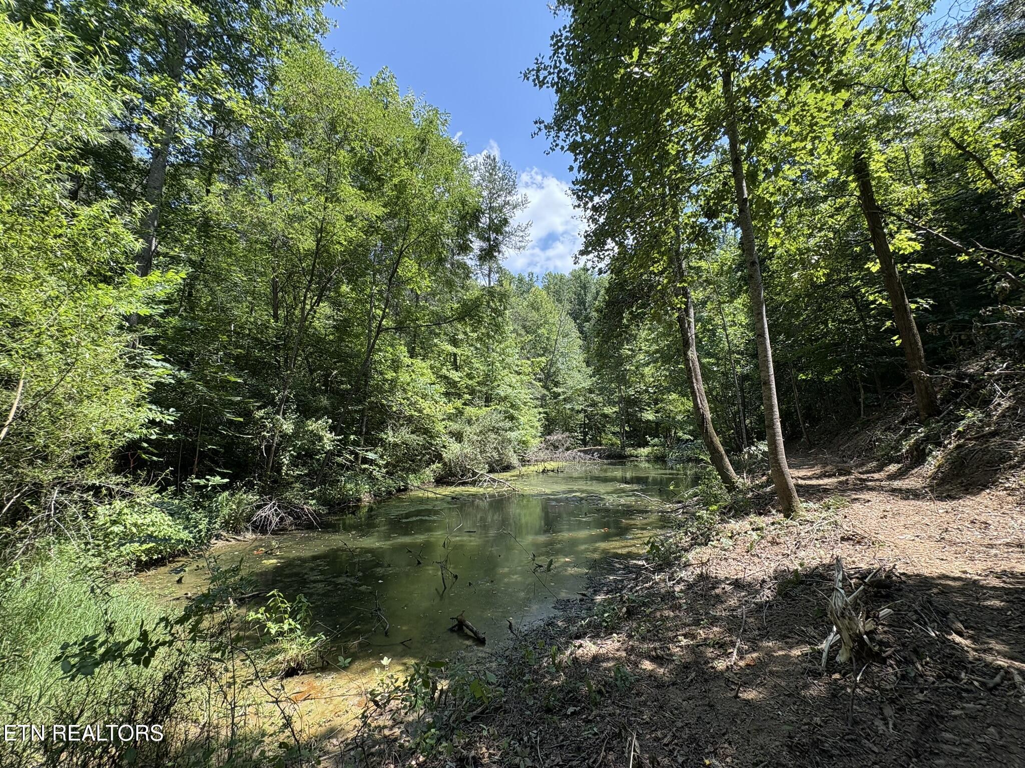 Happy Hollow Lane Sevierville TN 37876