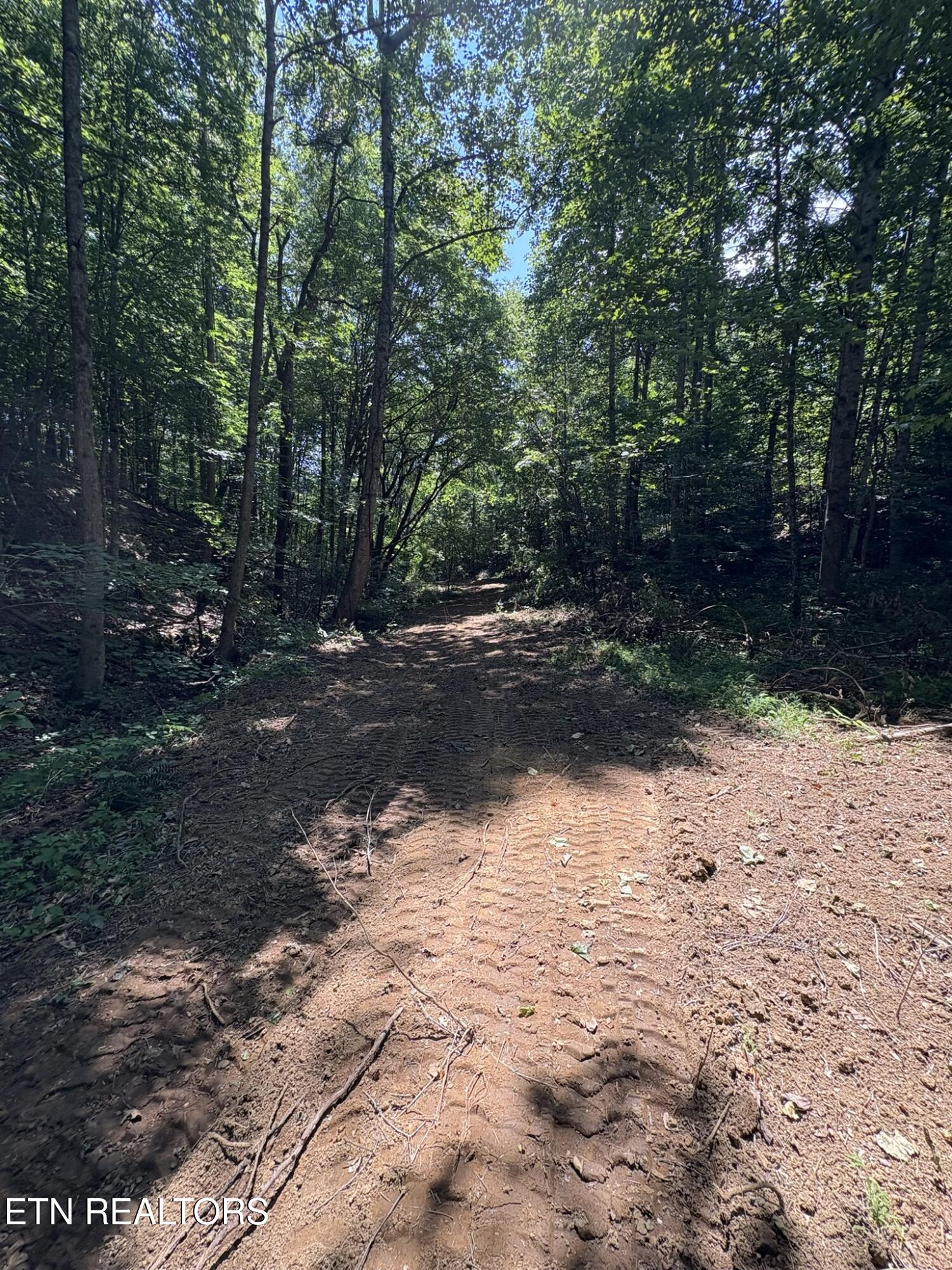 Happy Hollow Lane Sevierville TN 37876