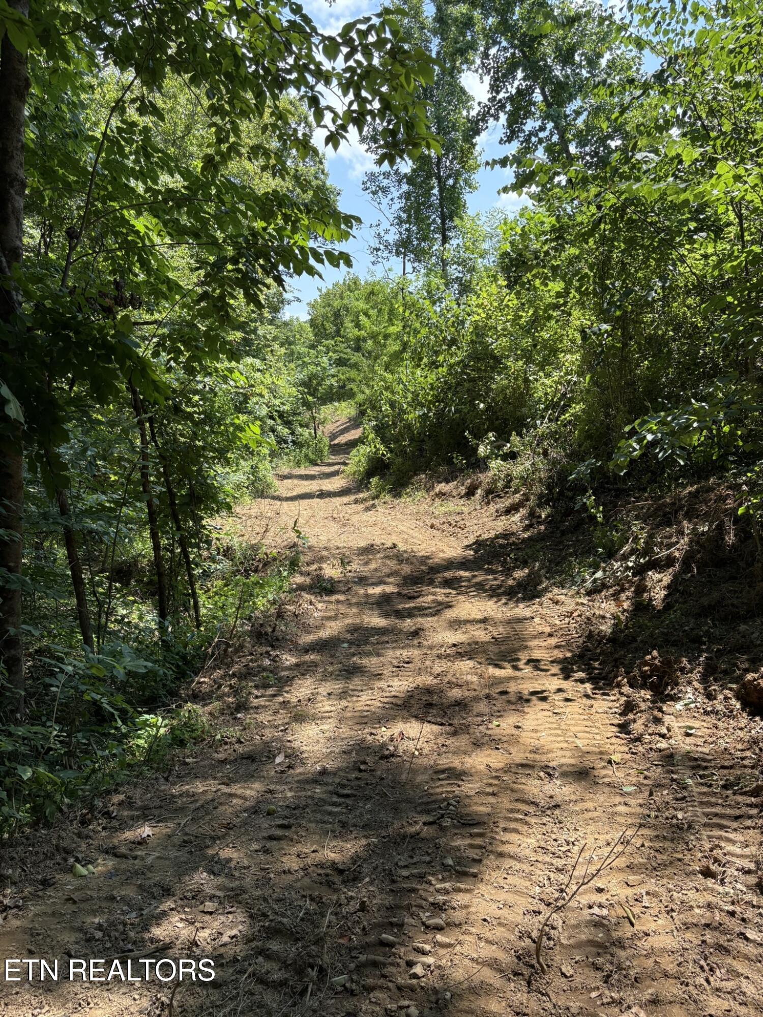 Happy Hollow Lane Sevierville TN 37876