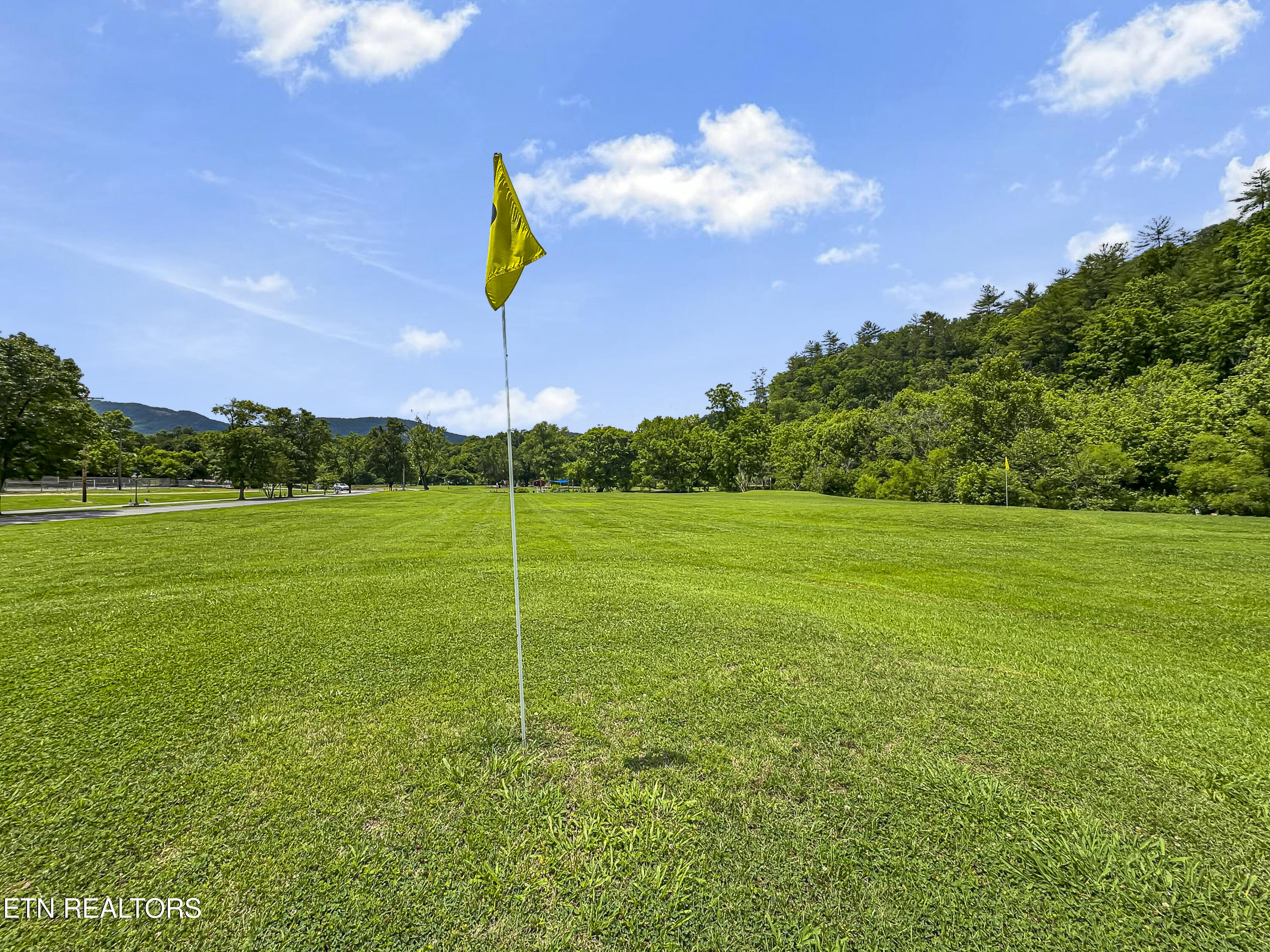 770 Big Valley Boulevard Townsend TN 37882