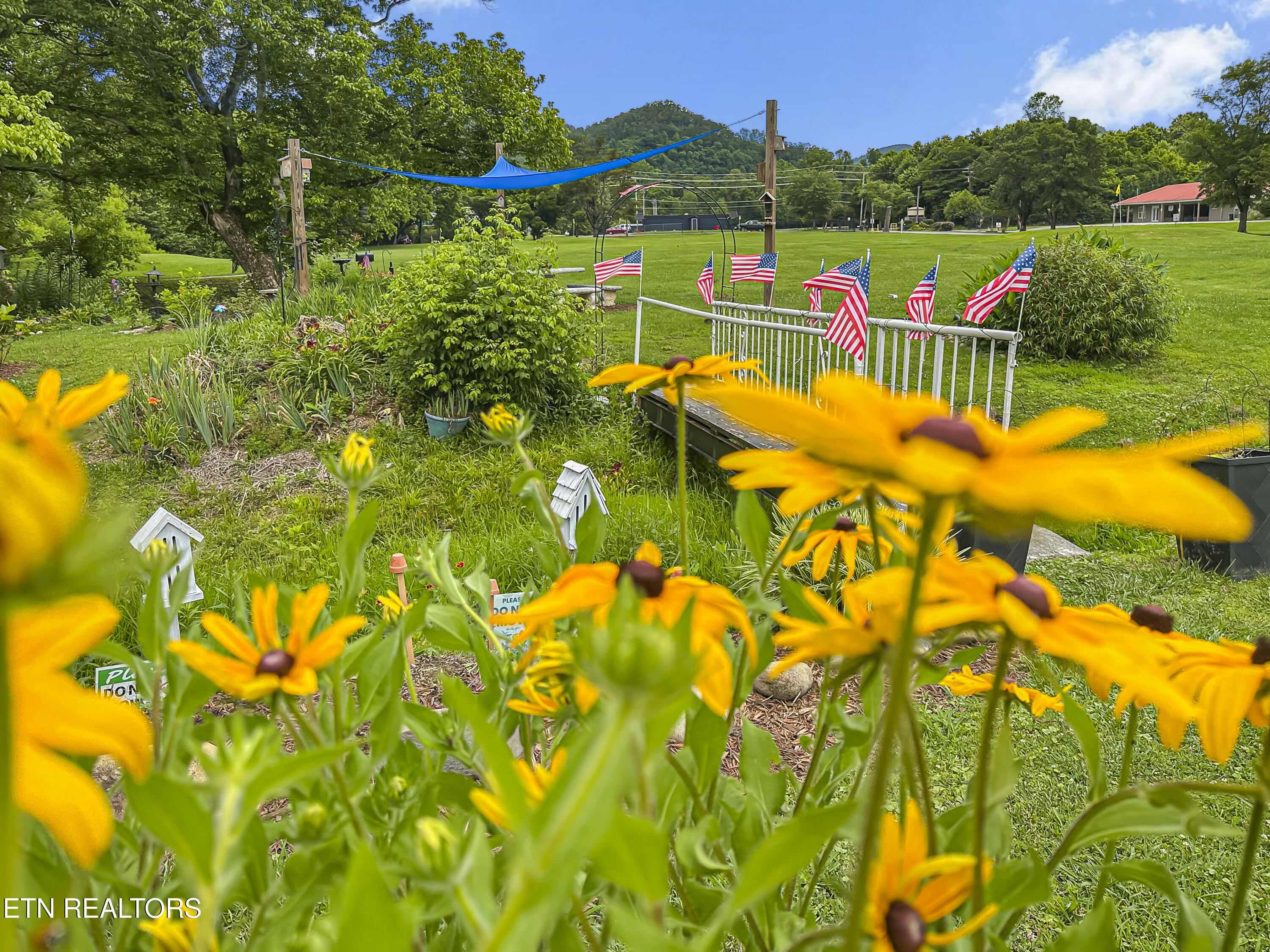 770 Big Valley Boulevard Townsend TN 37882