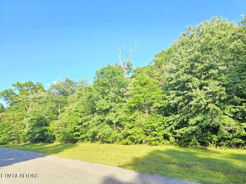 0 N Laurel Loop Monterey TN 38574