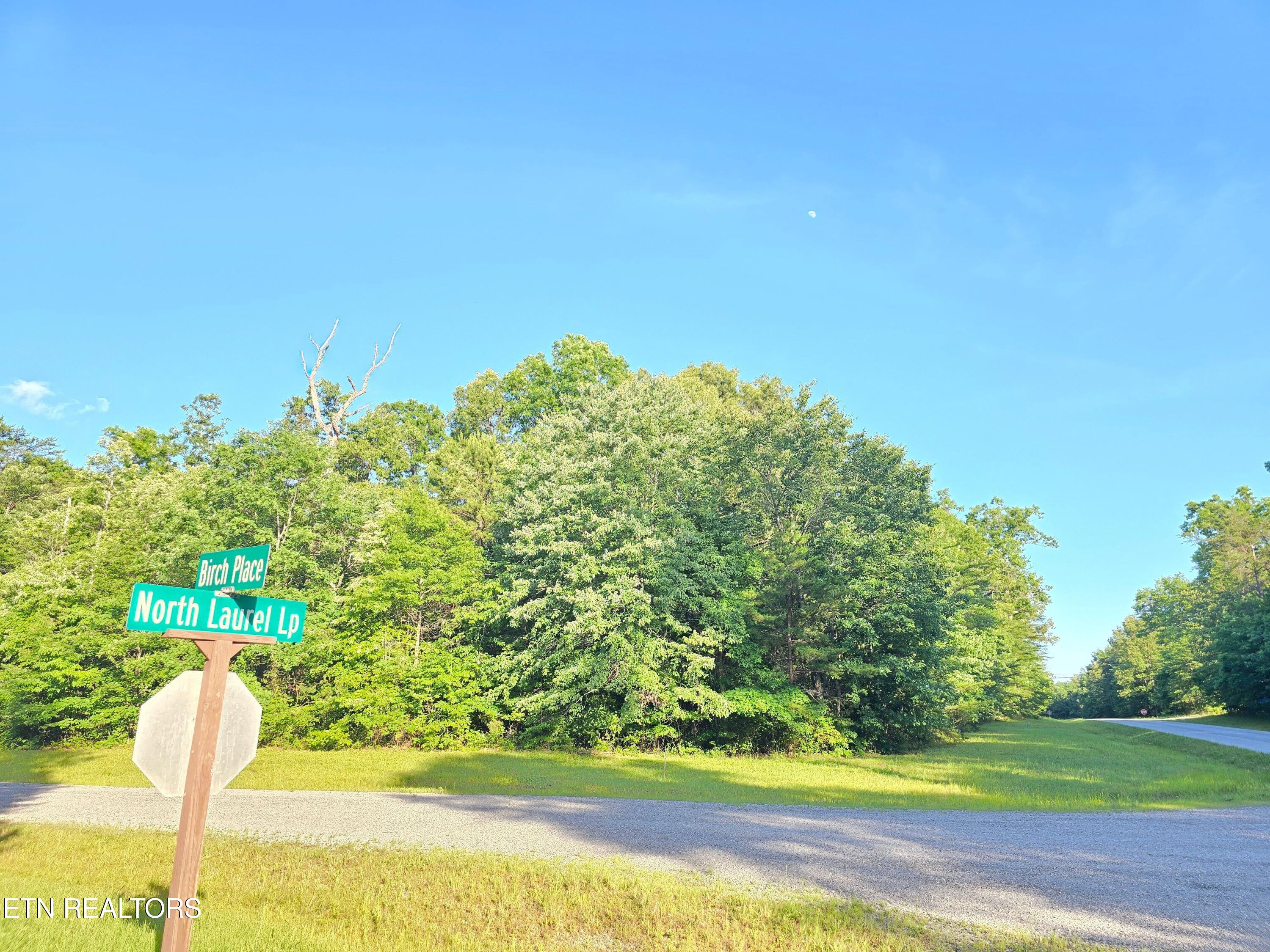 0 N Laurel Loop Monterey TN 38574