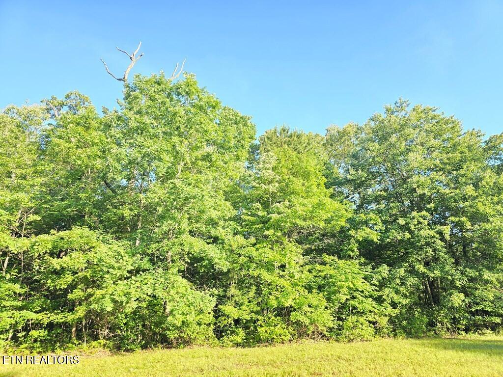 0 N Laurel Loop Monterey TN 38574