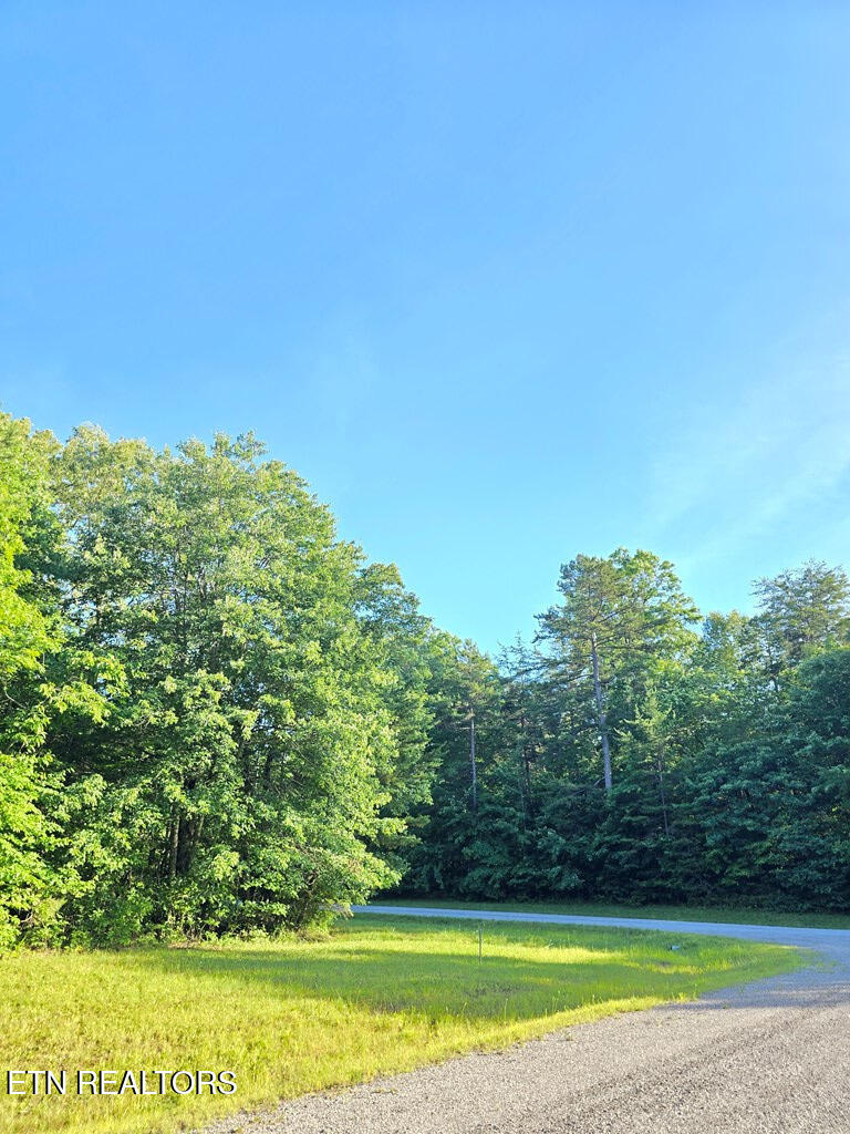 0 N Laurel Loop Monterey TN 38574