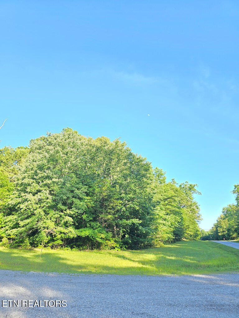 0 N Laurel Loop Monterey TN 38574