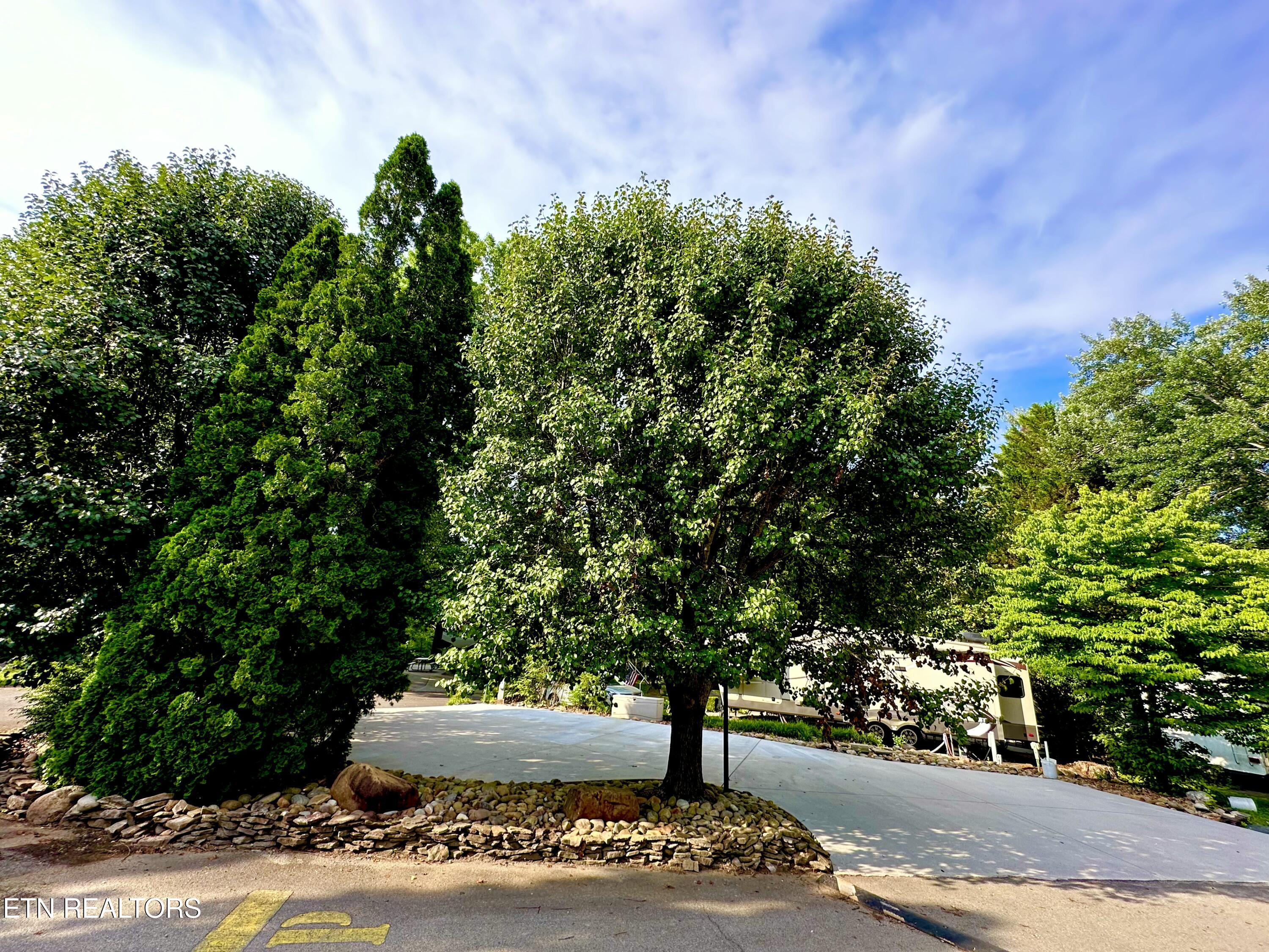 Lot 117 Highway 73 Townsend TN 37882