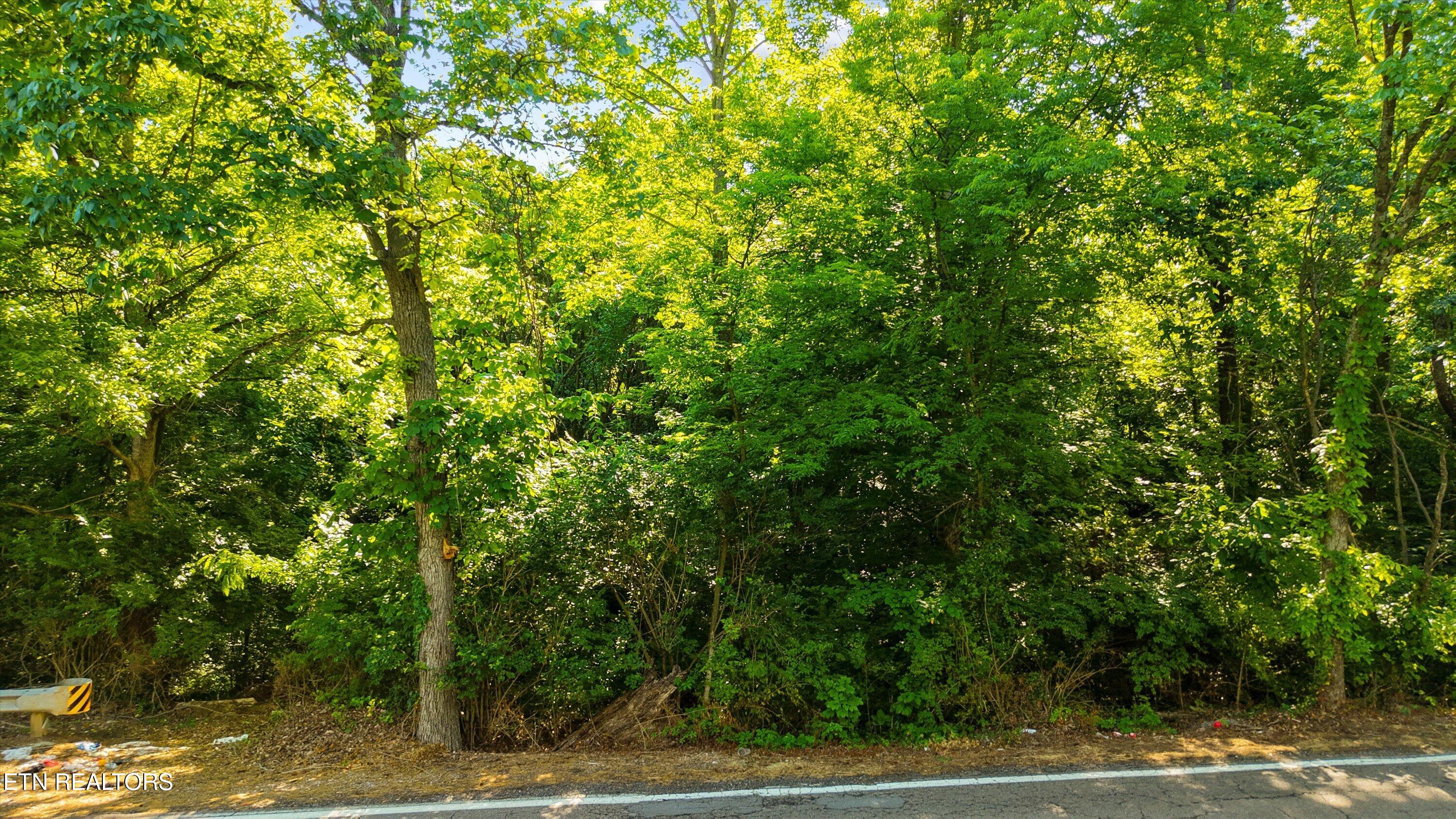 L-19 Dry Gap Knoxville TN 37912